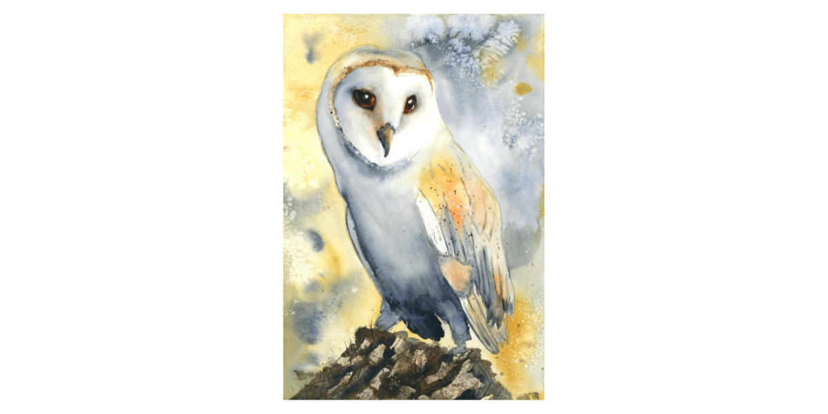 Barn Owl – Fine Art Watercolour Print
