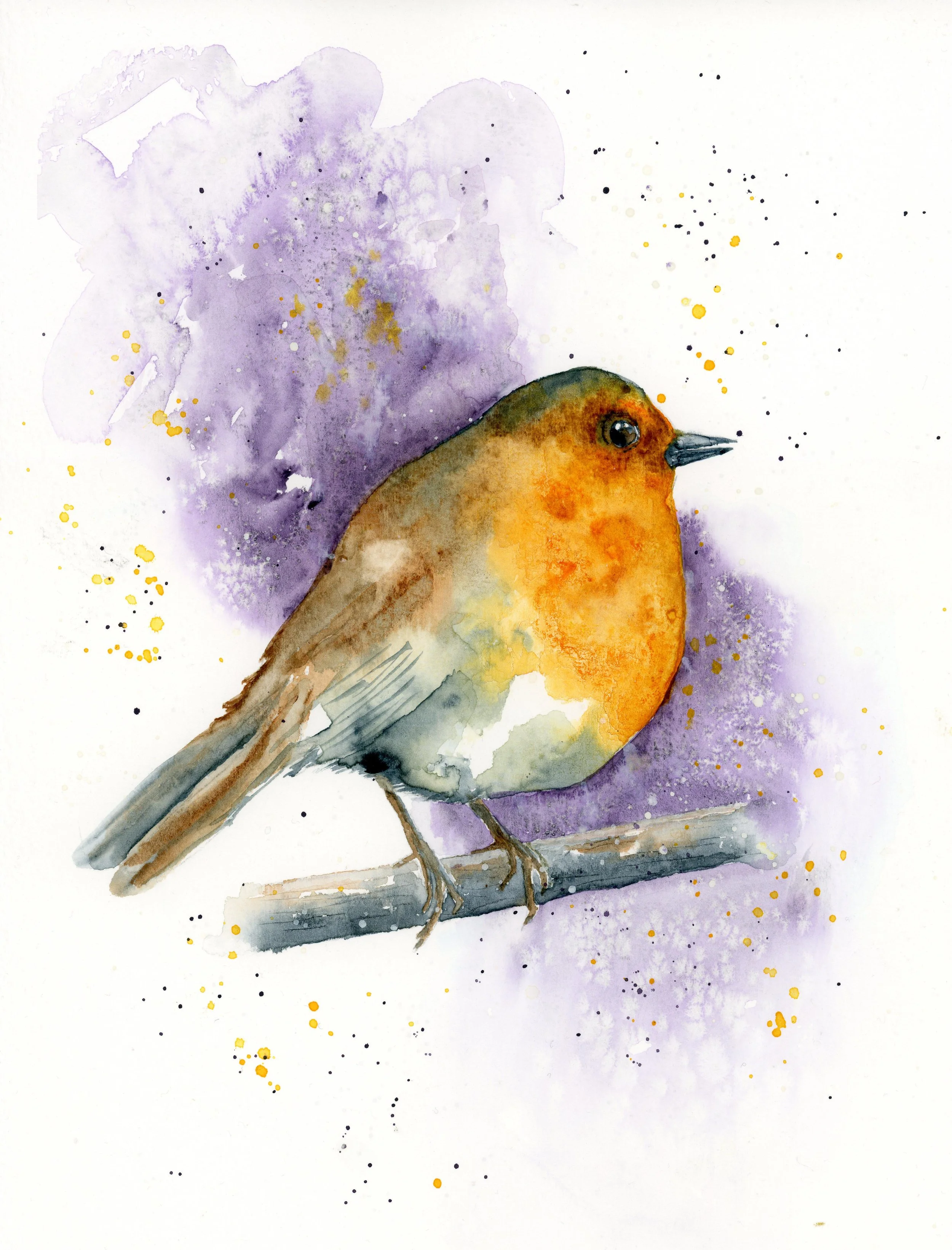 Robin