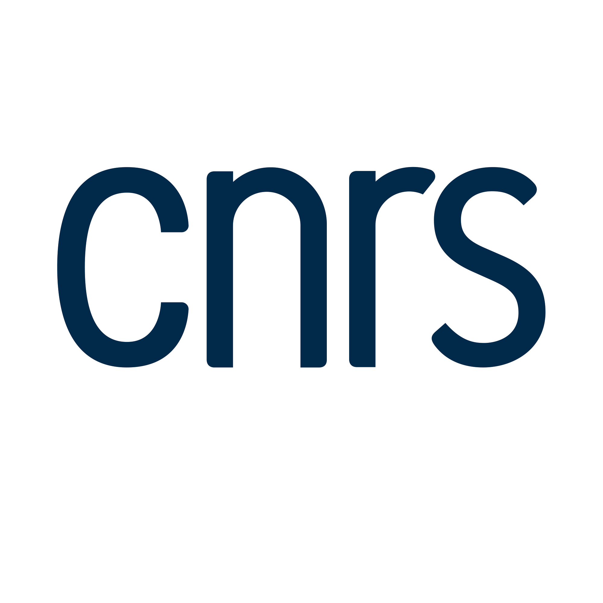 LOGO_CNRS_BLANC.png