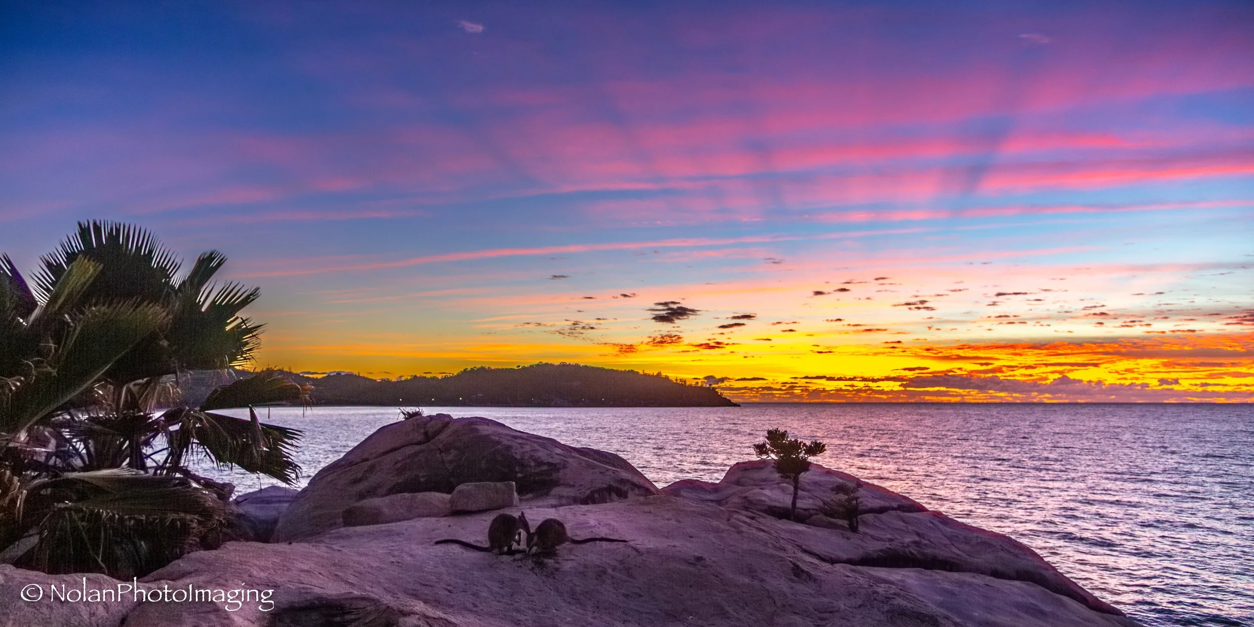 C - Tropical Sunrise Corroboree
