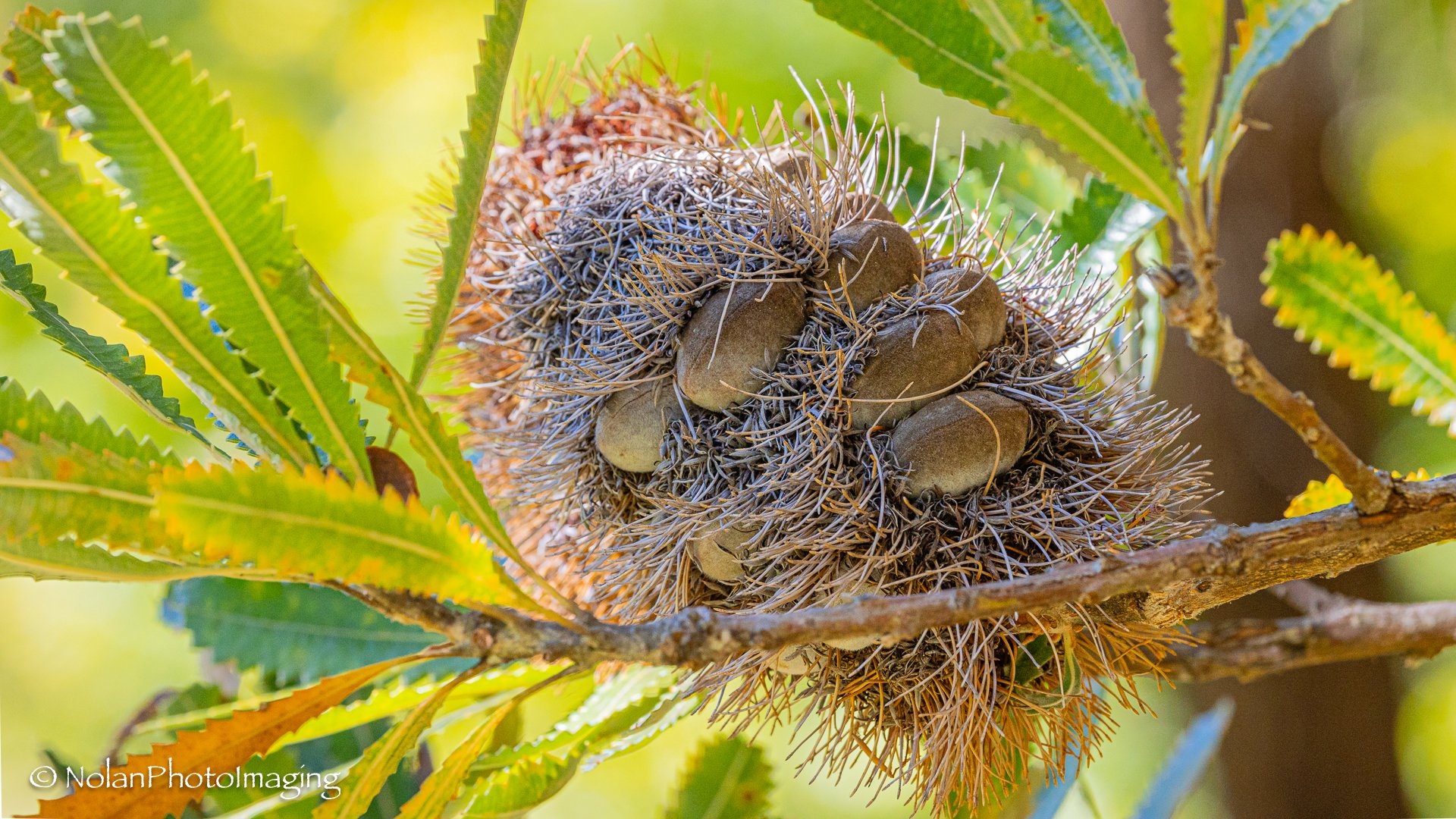 _W8A3723-HDR.jpg