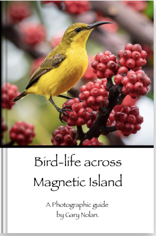 Birdlife Across Magnetic Island

A Photographic guide to bird life on Magnetic Island. Including land, coastal and seafaring birds.