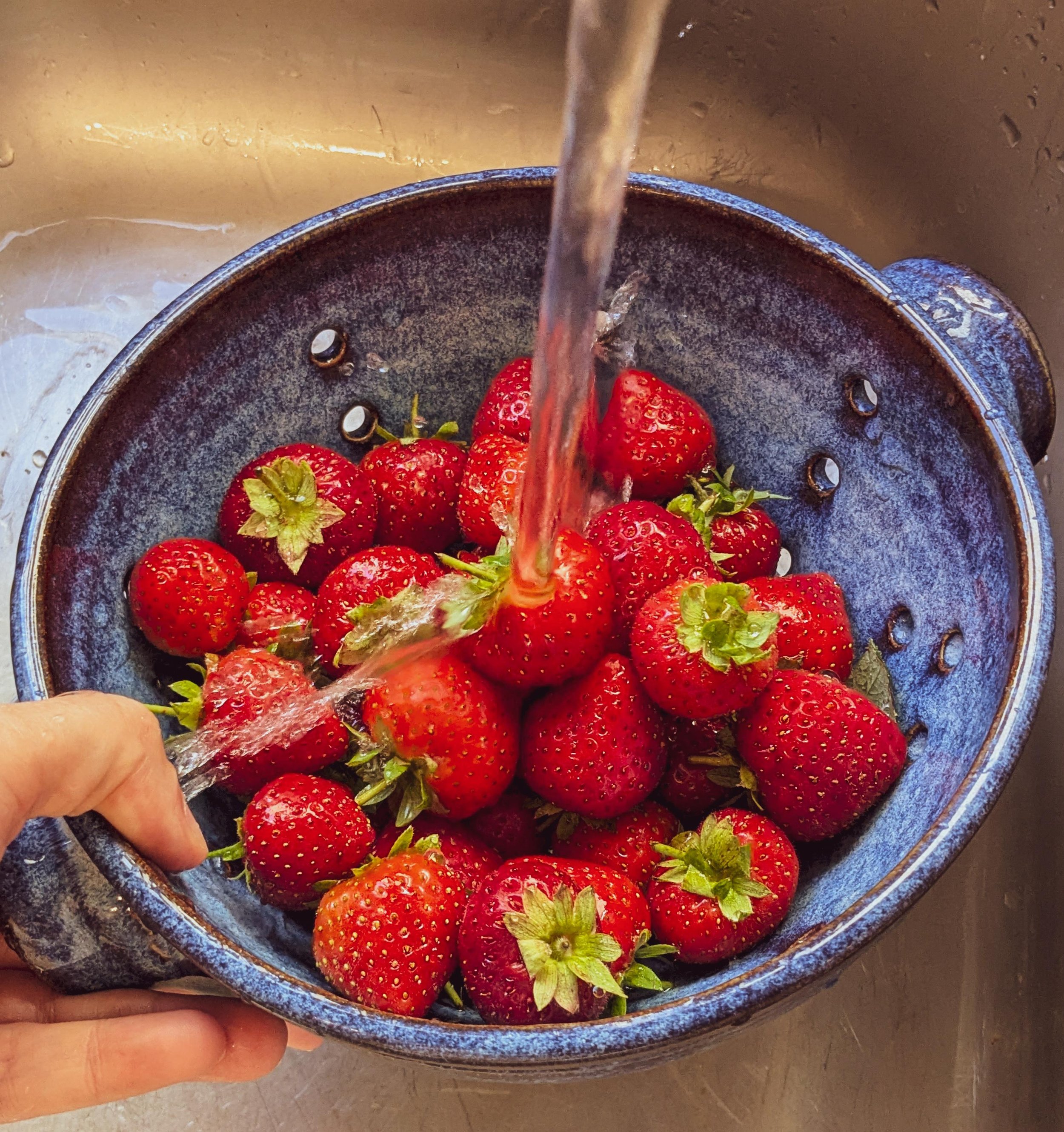 Strawberry season 