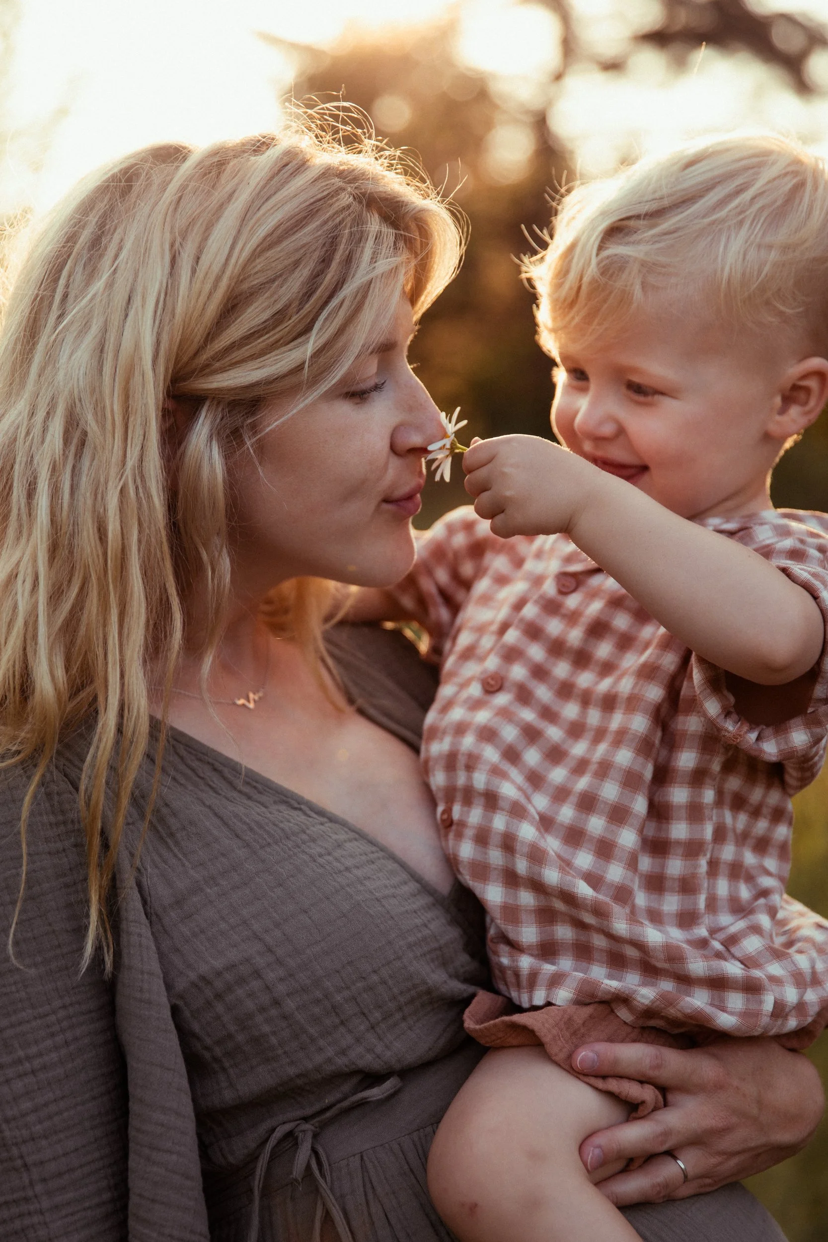 Rose Sol Photography-8522.jpg