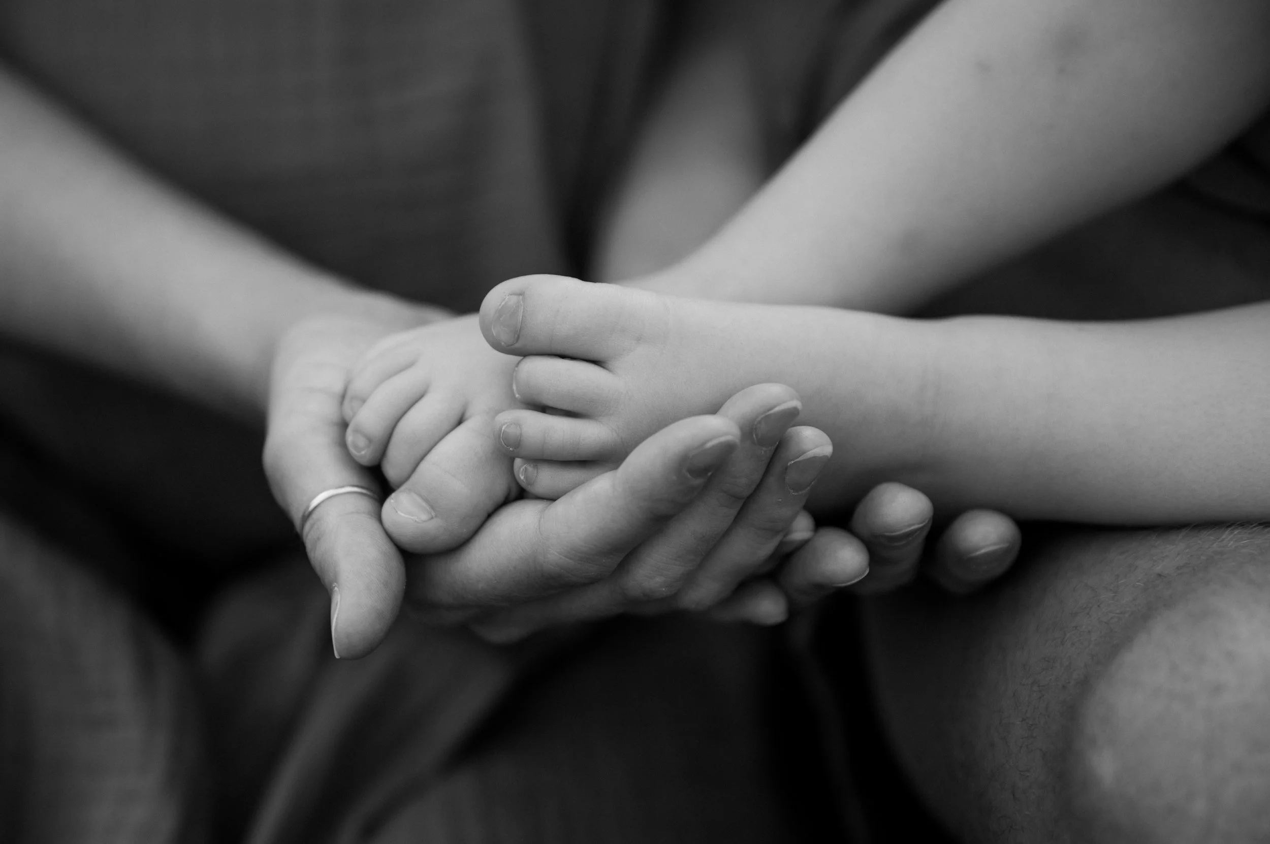 Rose Sol Photography-9943.jpg