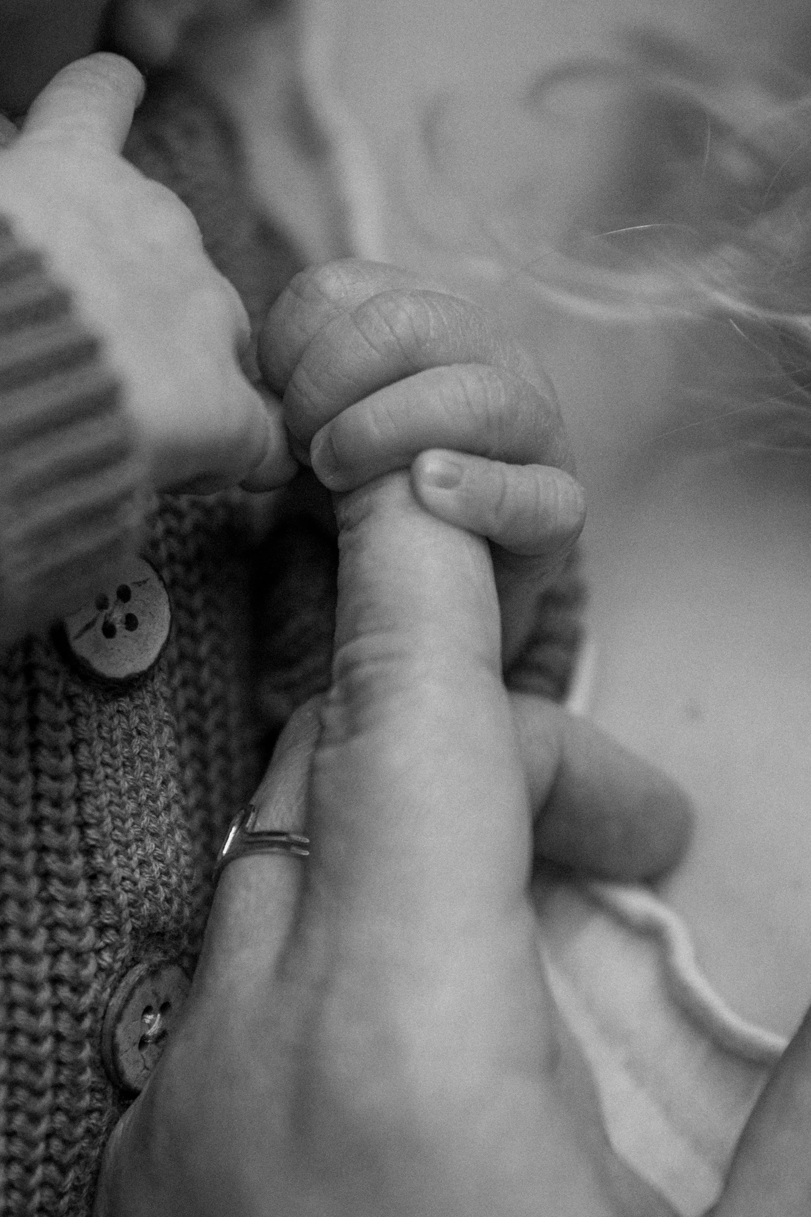 Rose Sol Photography_norfolk_family_photographer-1193_res.jpg