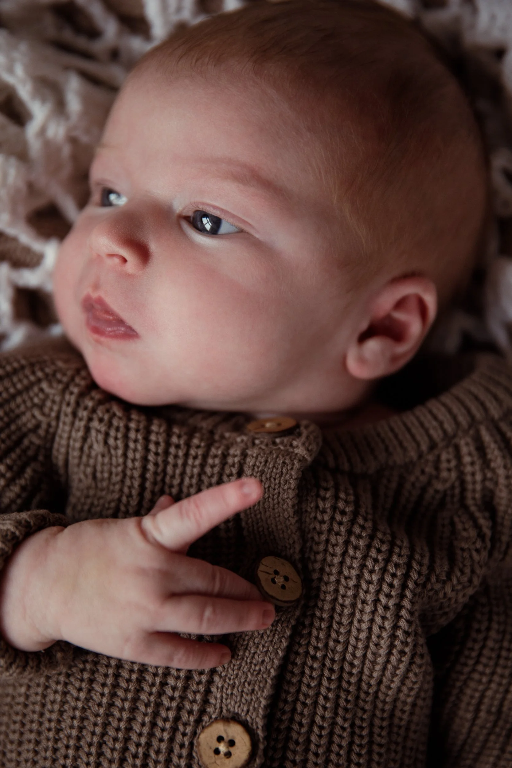 Rose Sol Photography_norfolk_family_photographer-0964_res.jpg