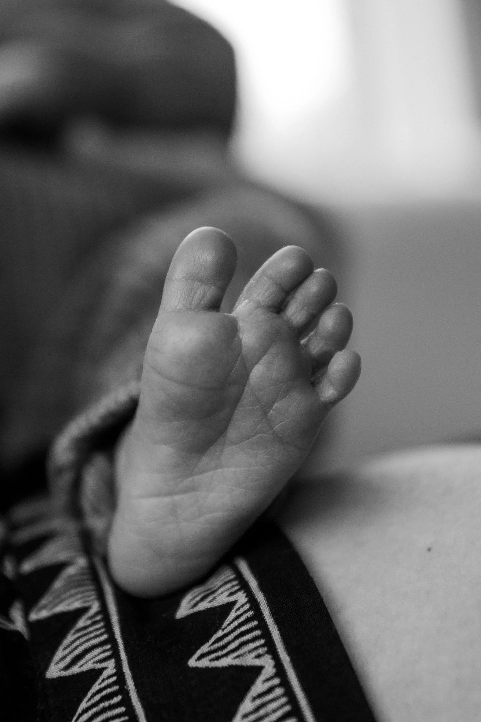 Rose Sol Photography_norfolk_family_photographer-0289_res.jpg