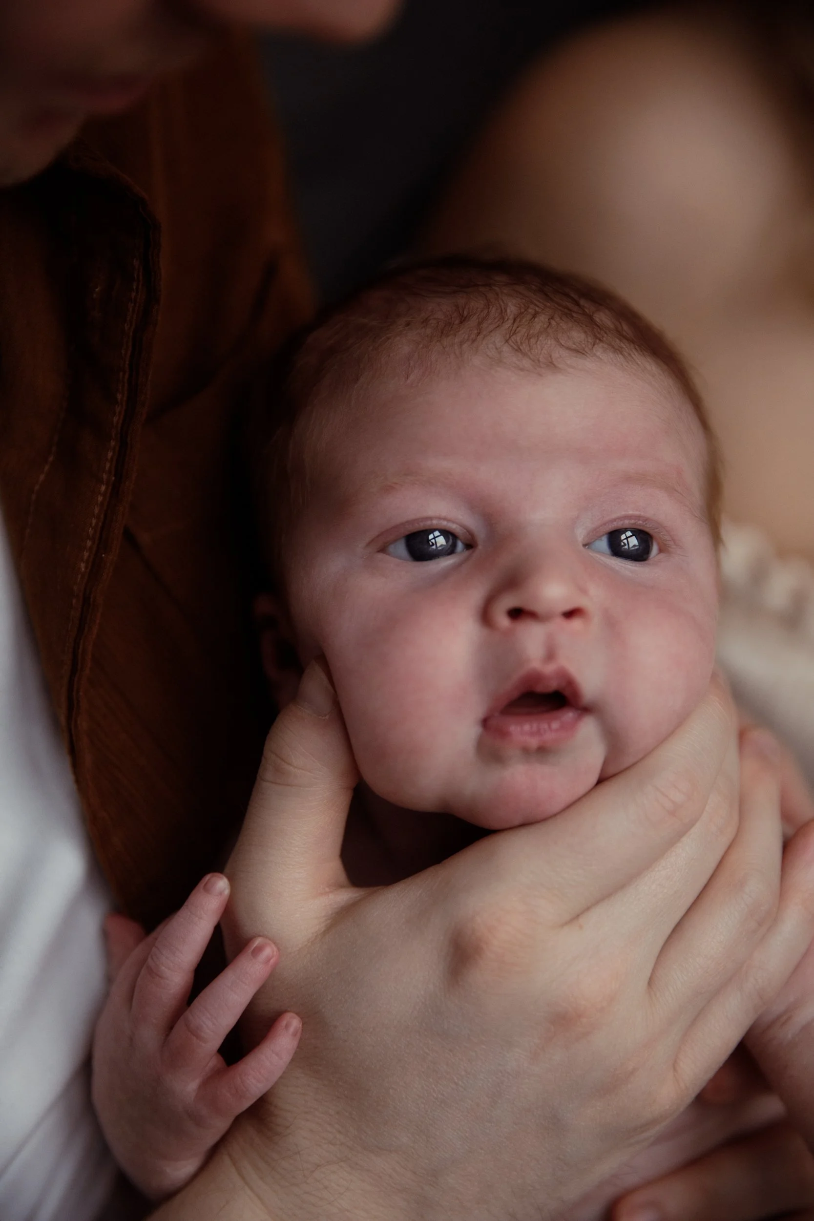 Rose Sol Photography_norfolk_family_photographer-2009_res.jpg