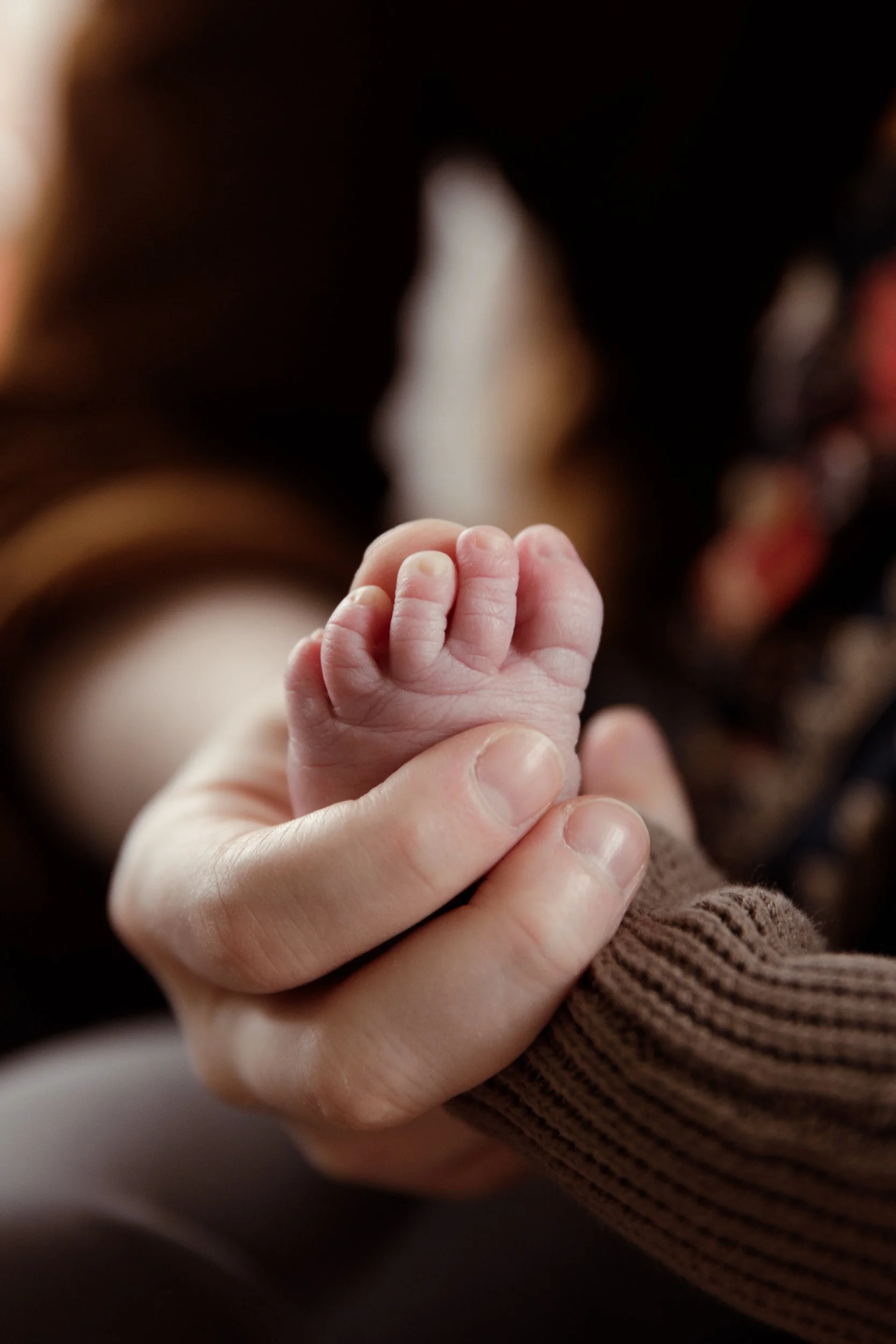 Rose Sol Photography_norfolk_family_photographer-0326_res.jpg