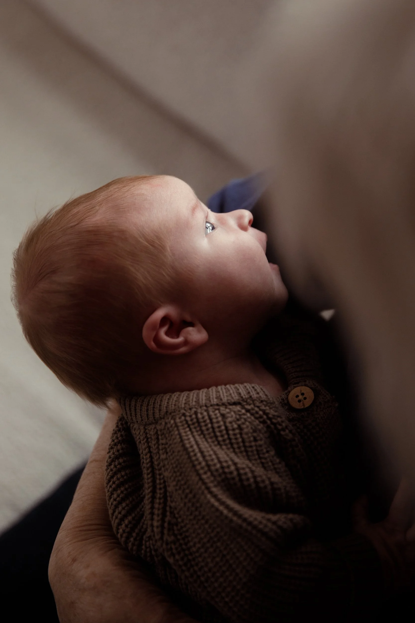 Rose Sol Photography_norfolk_family_photographer-0232_res.jpg