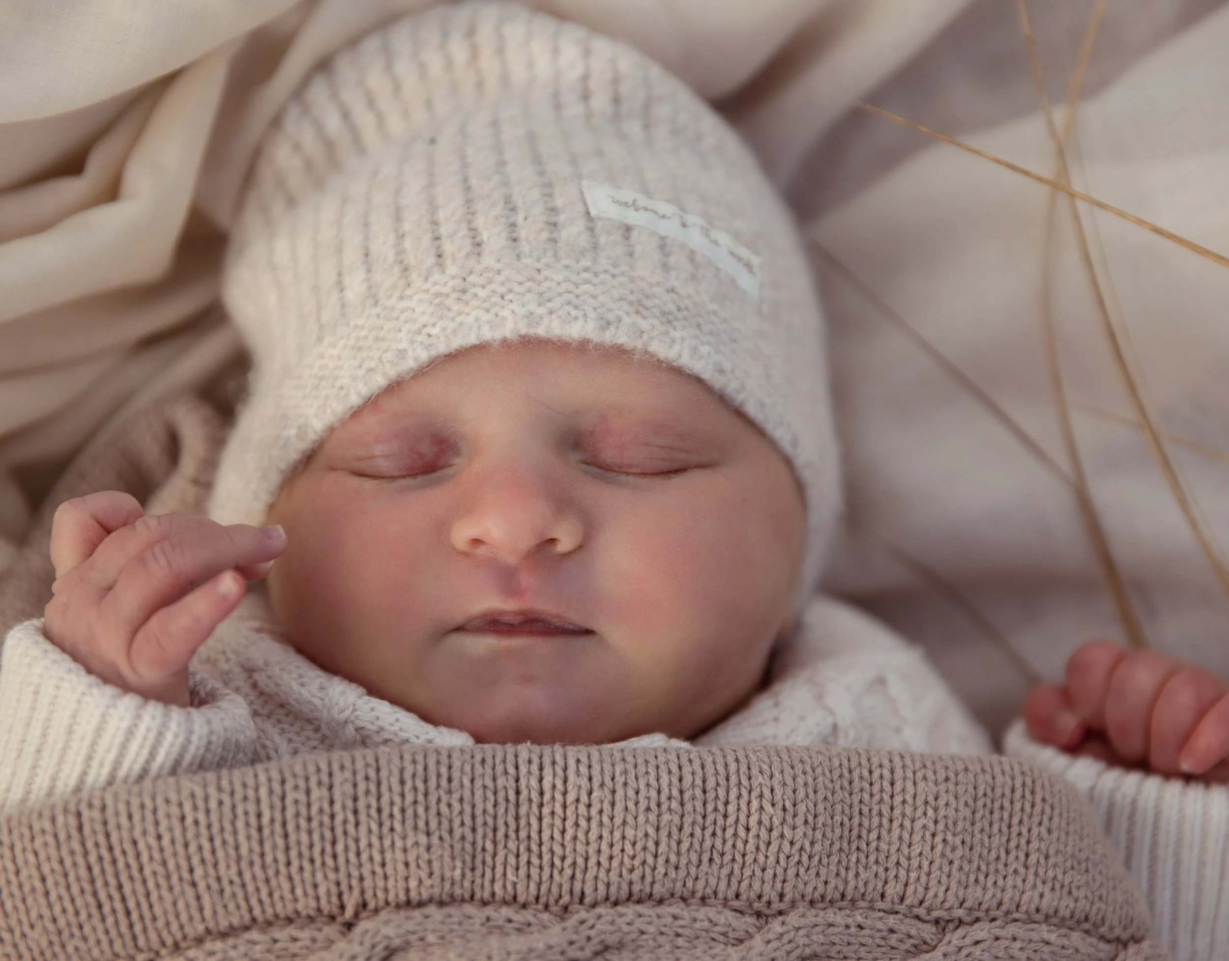 Rose Sol Photography_norfolk_family_photographer-4953_res.jpg