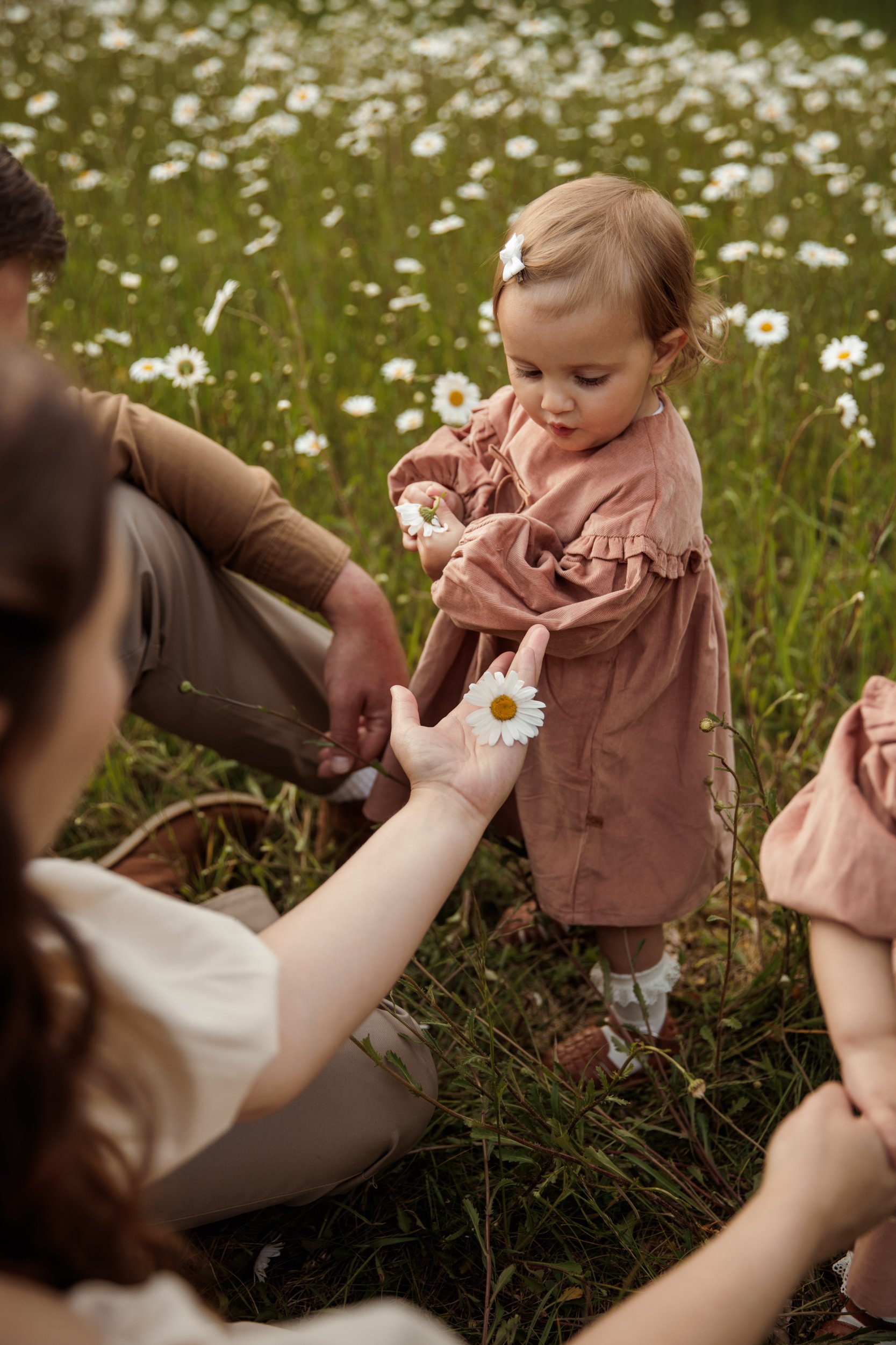 Rose Sol Photography_norfolk_family_photographer-2083.jpg