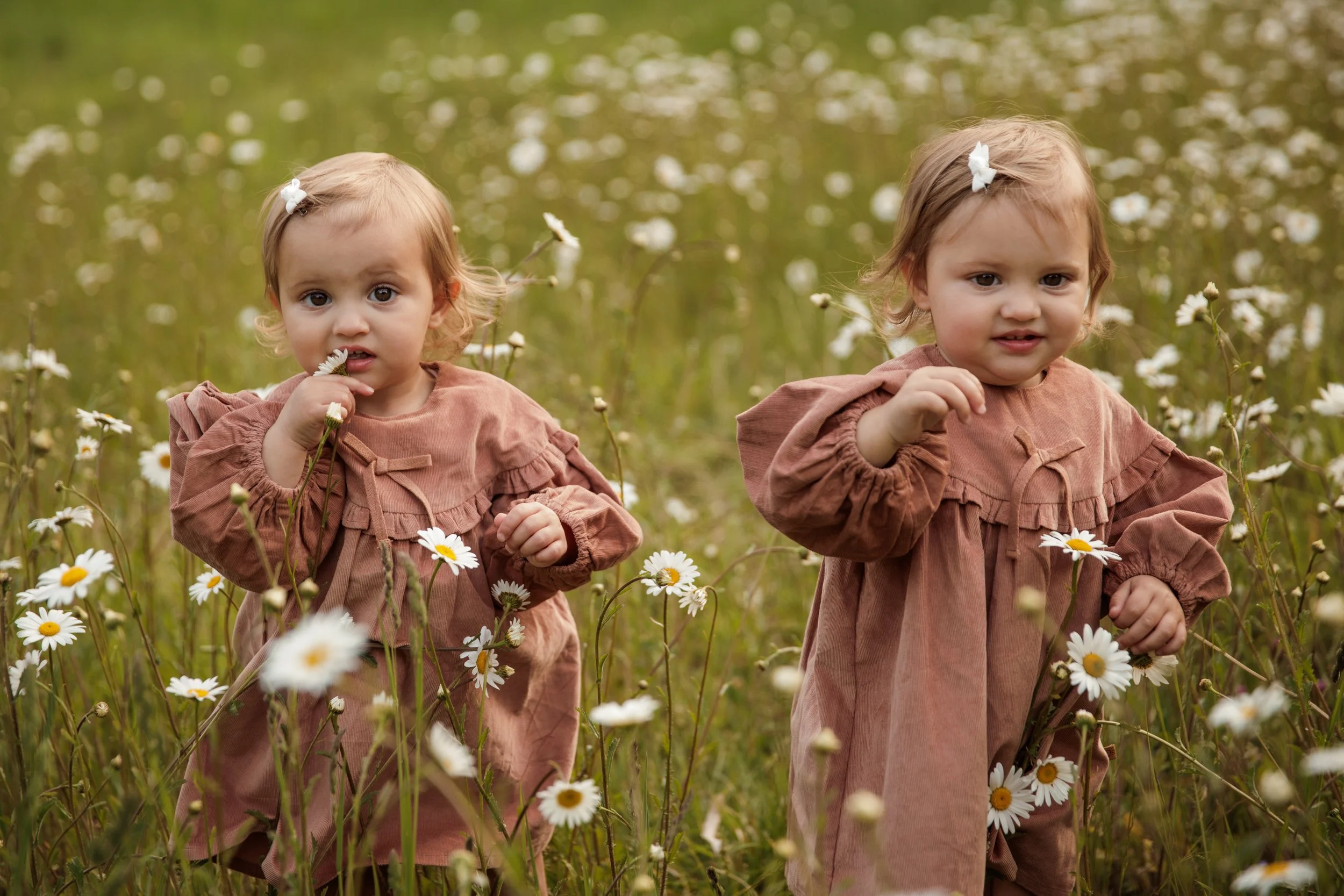 Rose Sol Photography_norfolk_family_photographer-2459.jpg