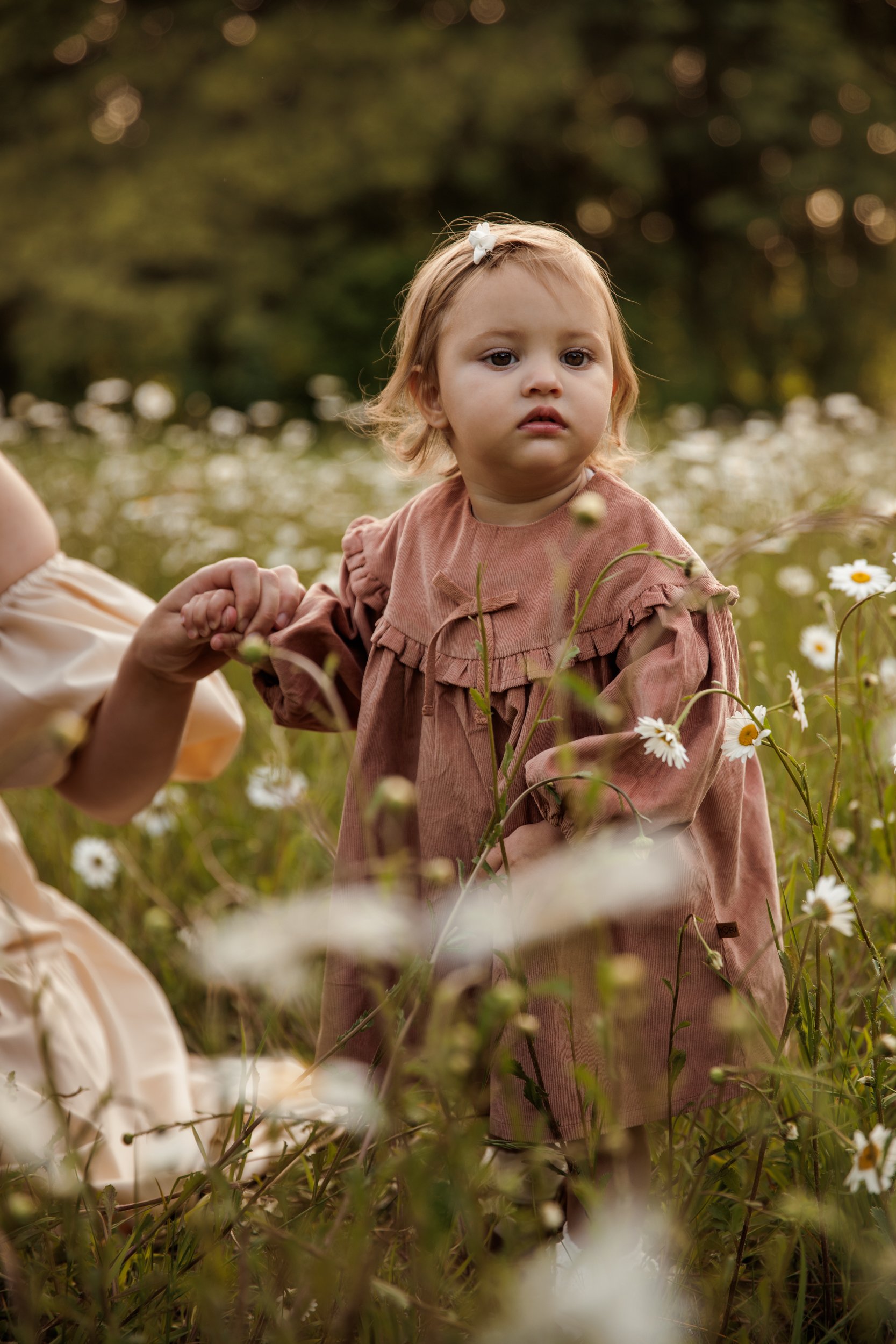 Rose Sol Photography_norfolk_family_photographer-2421.jpg