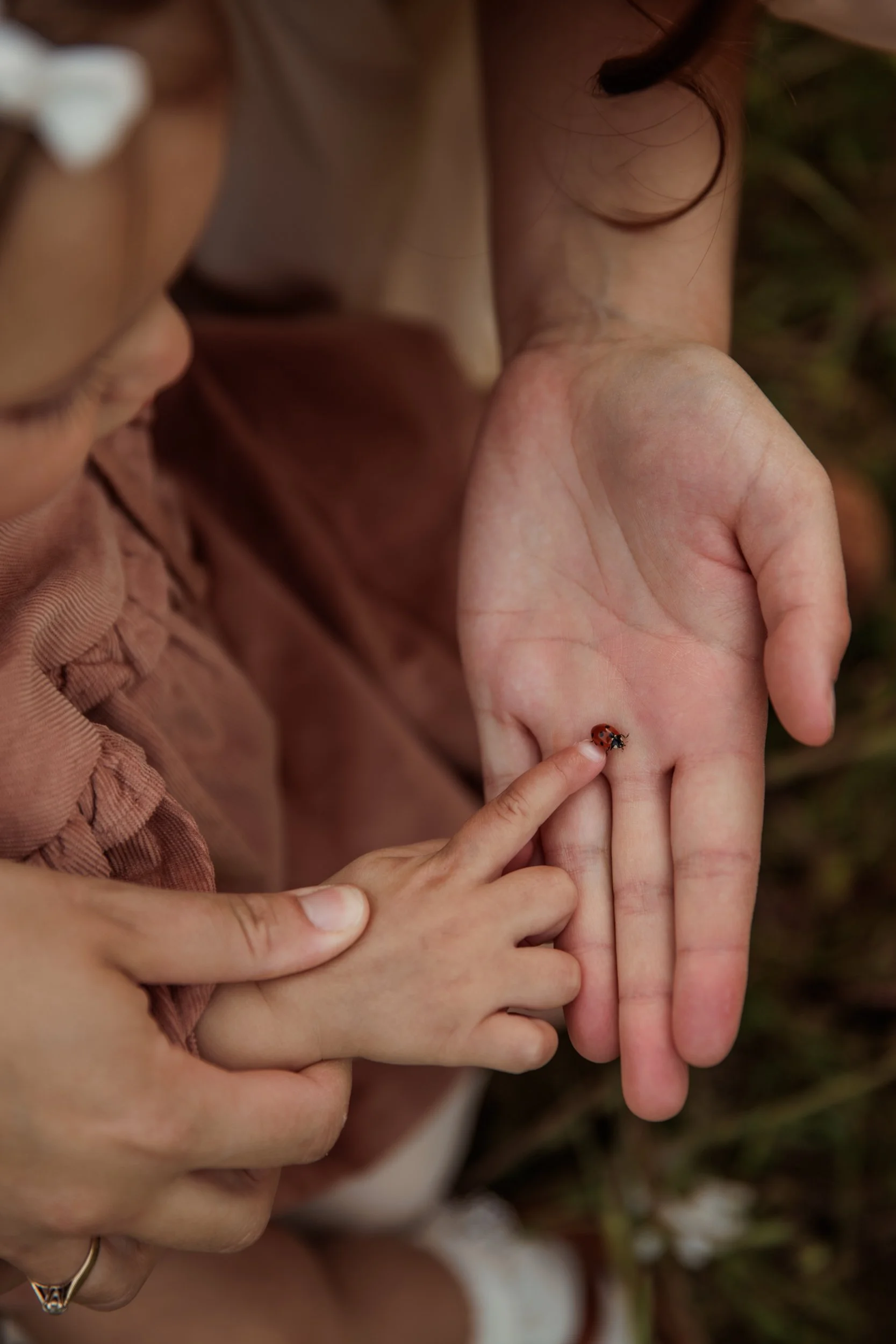 Rose Sol Photography_norfolk_family_photographer-2205.jpg
