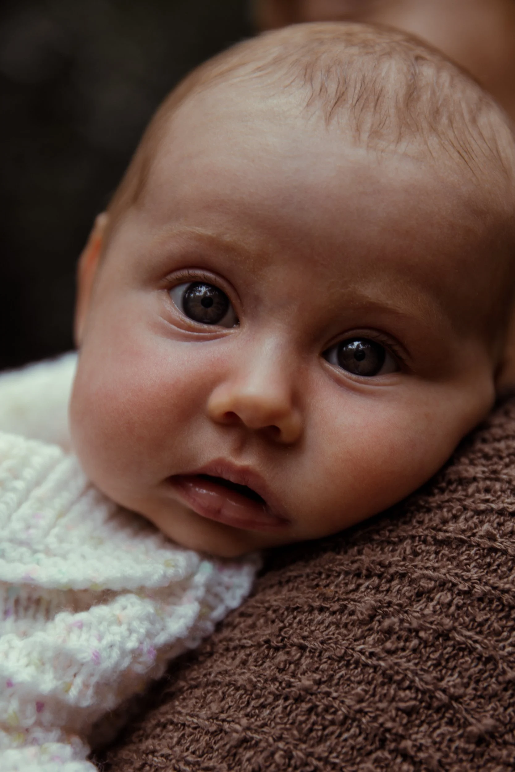 Rose Sol Photography-1197_res.jpg