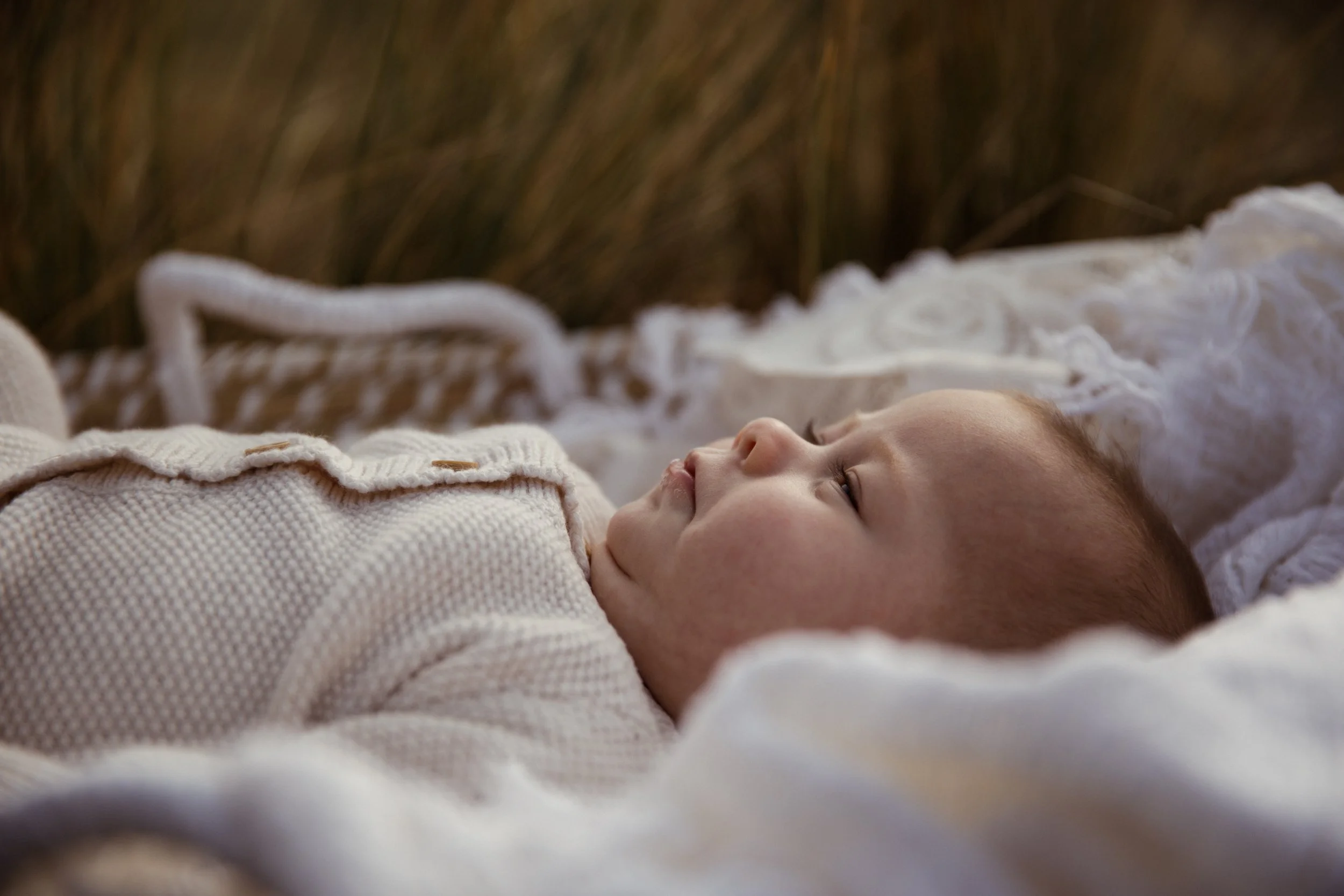 Rose Sol Photography-4051_res.jpg