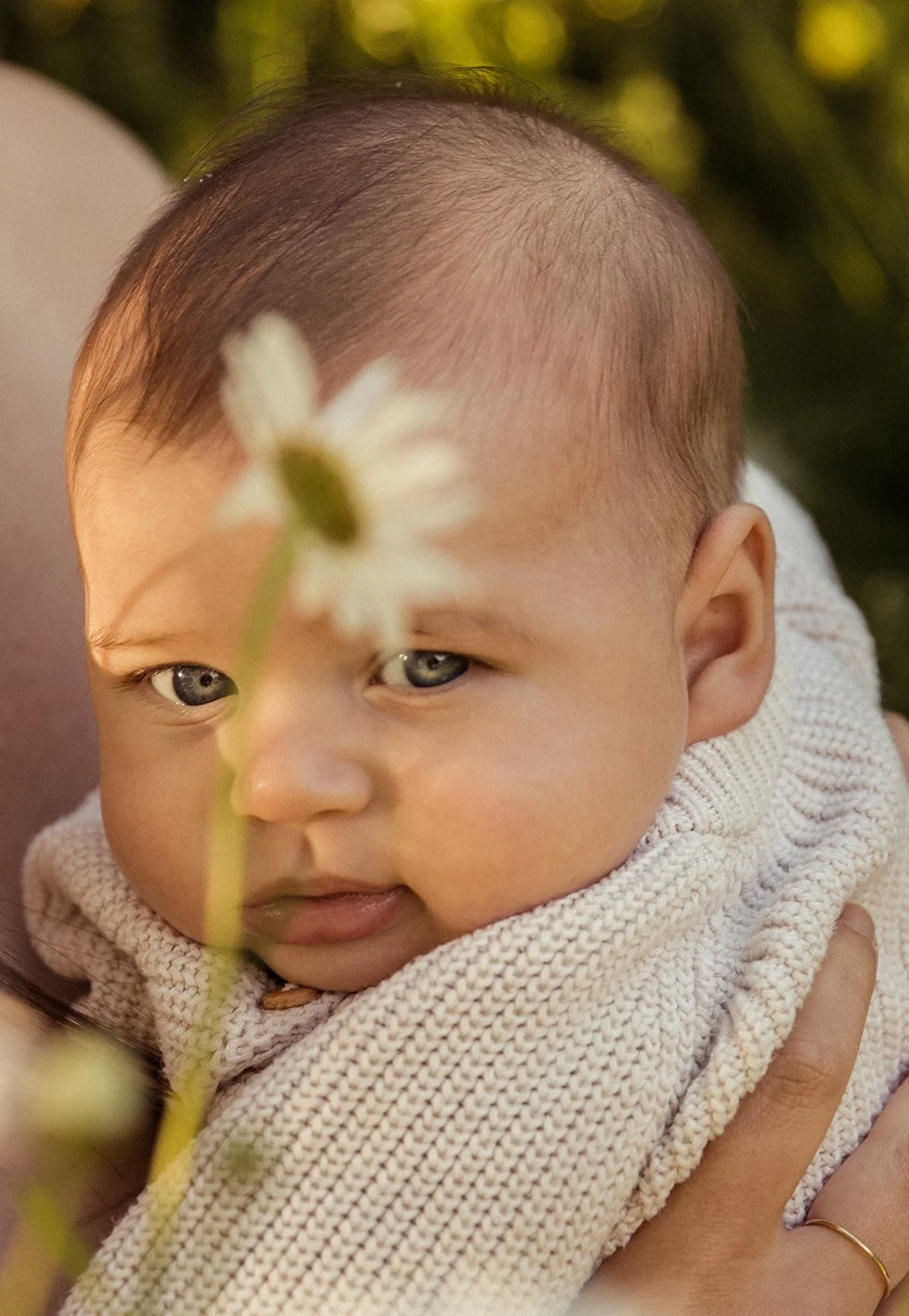 Rose Sol Photography-7548_res.jpg