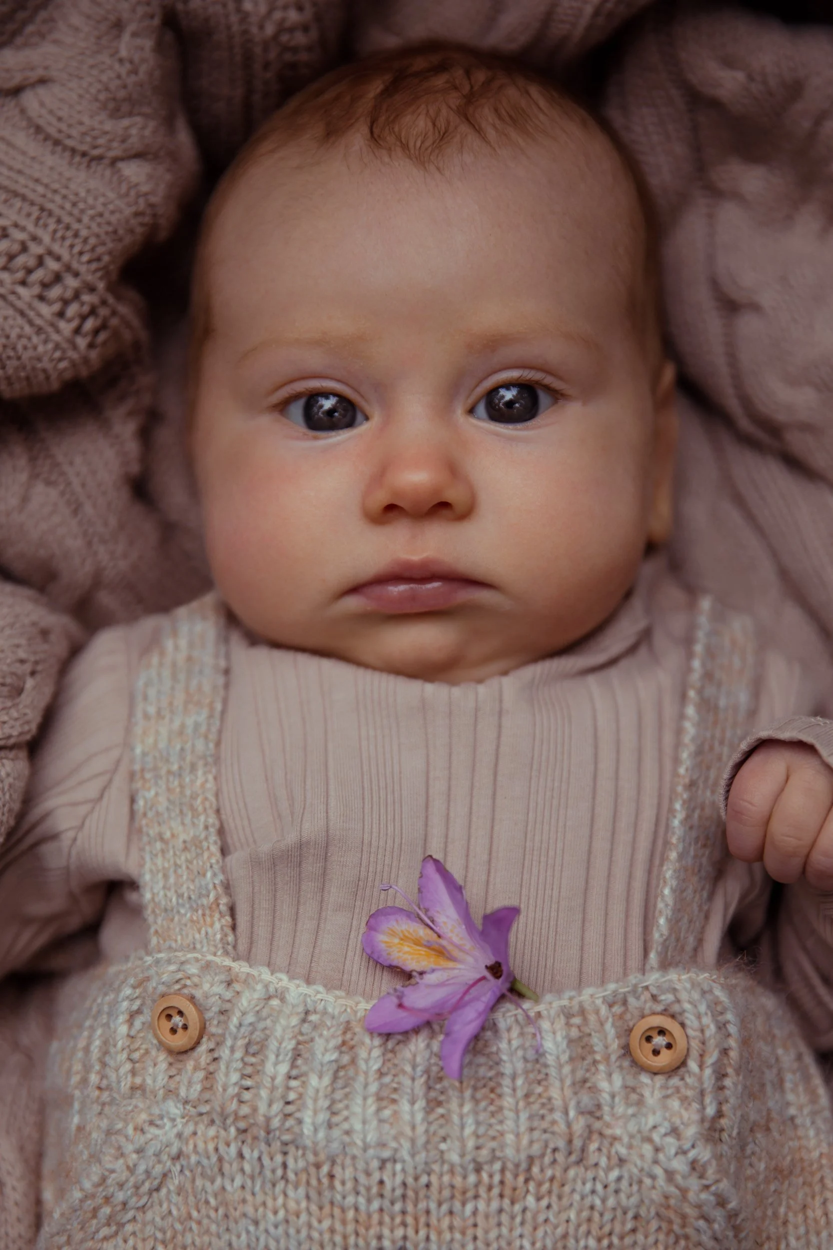 Rose Sol Photography--2_res.jpg