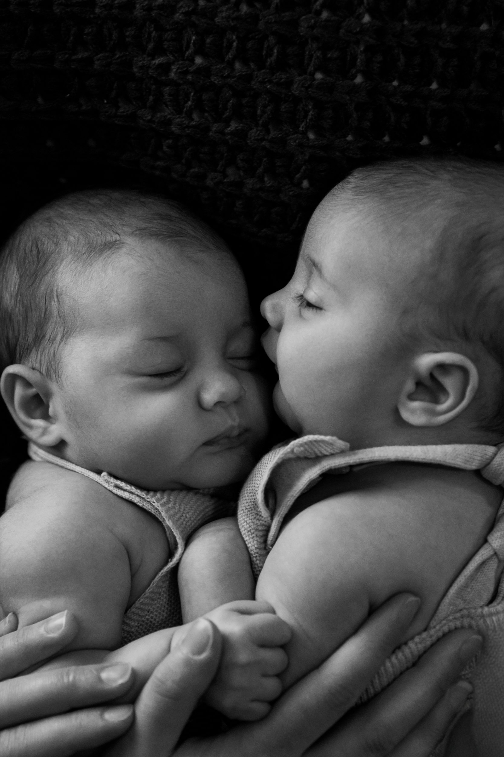 Rose Sol Photography--13_res.jpg