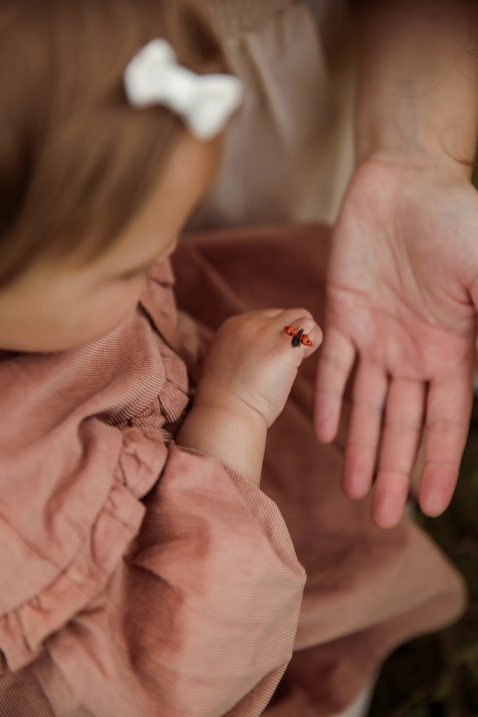 Rose Sol Photography_norfolk_family_photographer-2221.jpg