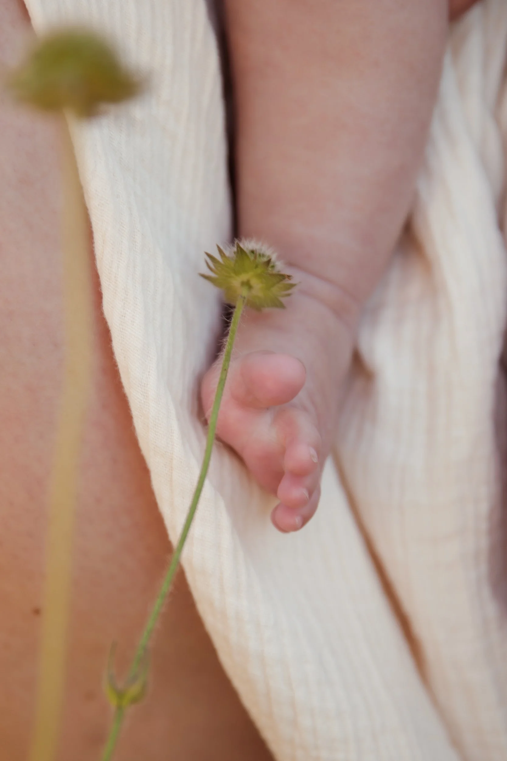 Rose Sol Photography_norfolk_family_photographer-2763.jpg