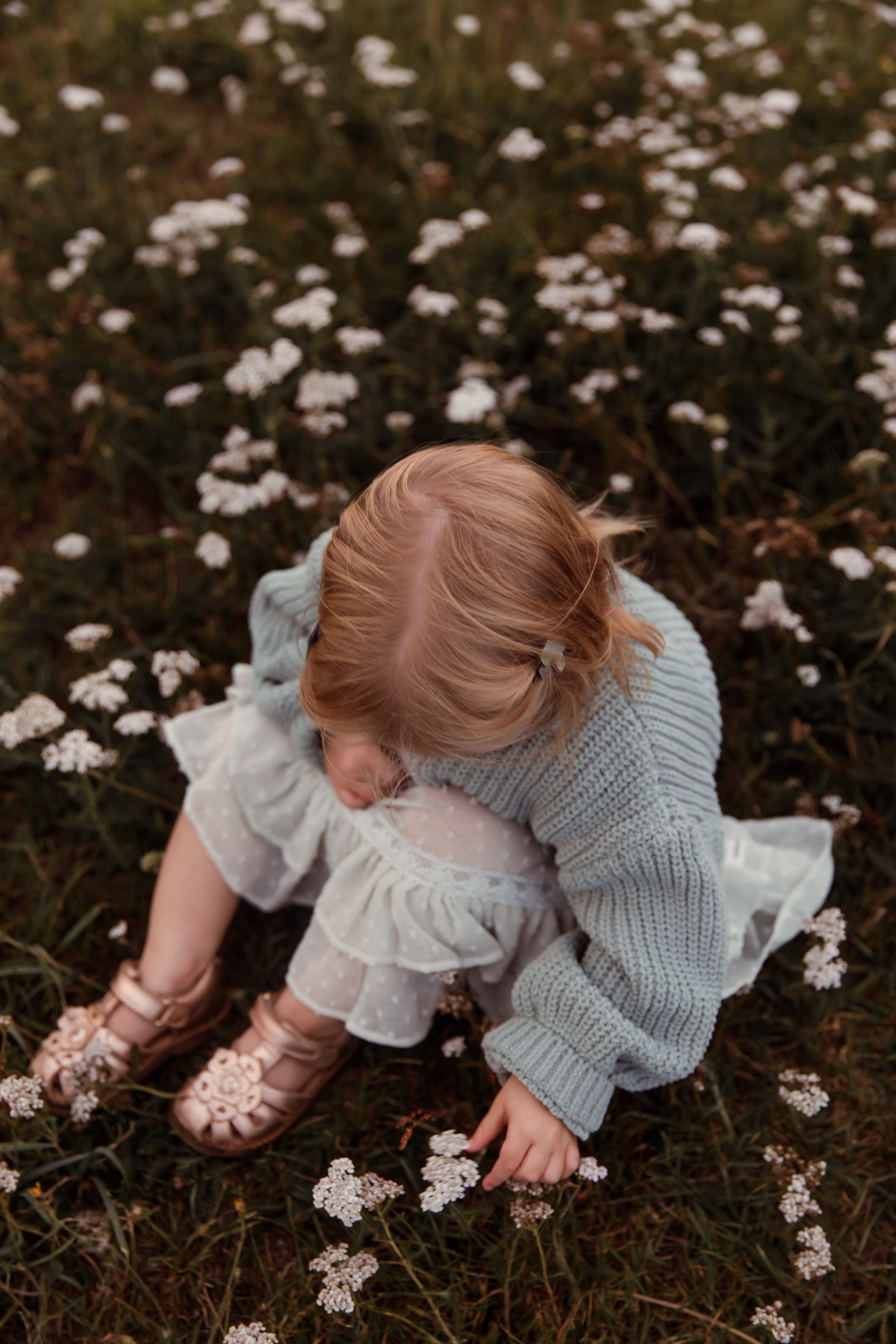 Rose Sol Photography_norfolk_family_photographer-6113.jpg