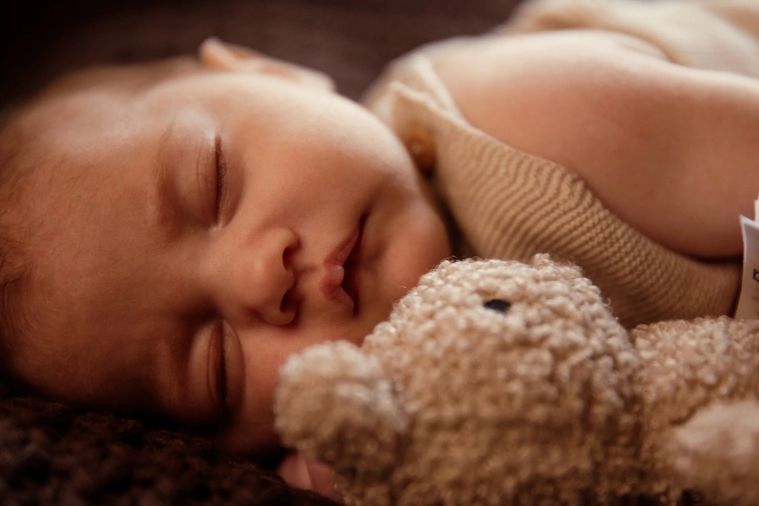 Rose Sol Photography-7068_res.jpg