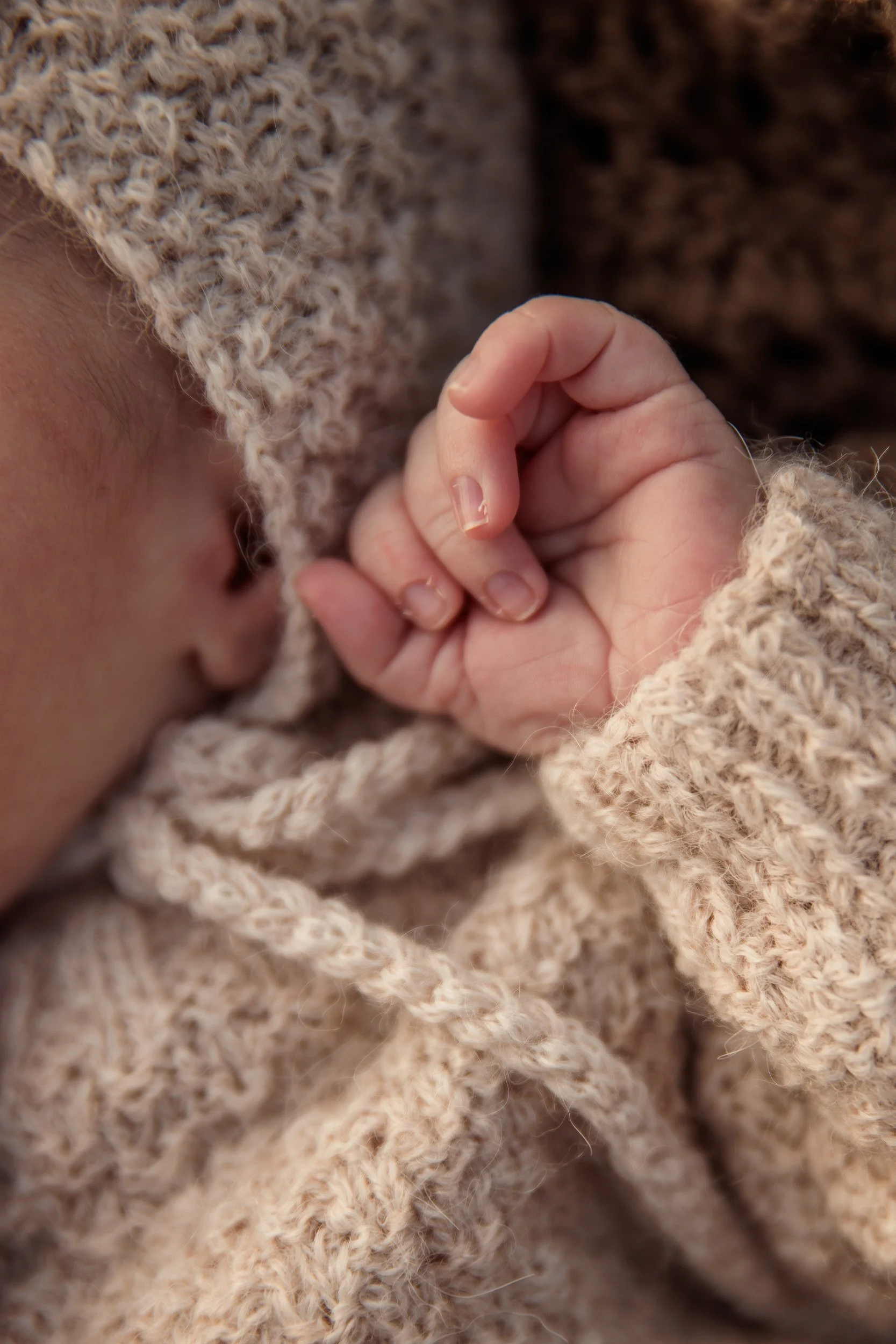 Rose Sol Photography_norfolk_family_photographer-8199_res.jpg