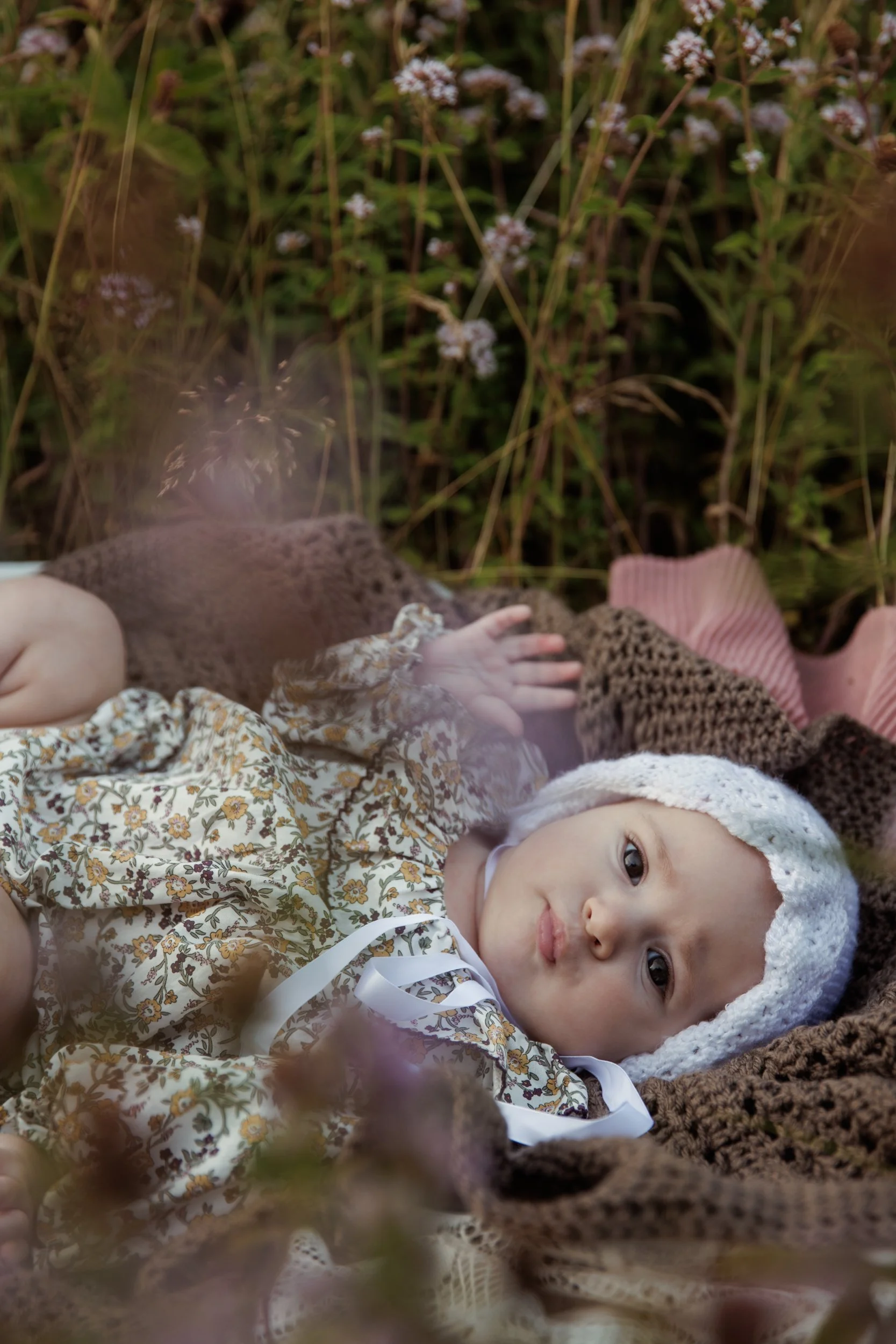 Rose Sol Photography_norfolk_family_photographer--25.jpg