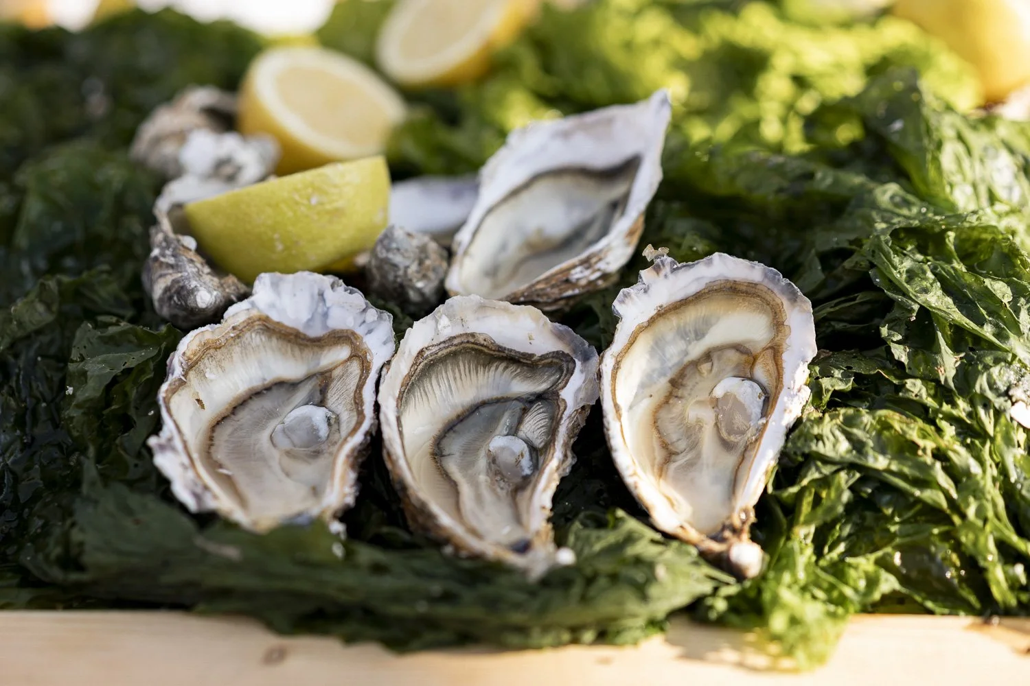 Mariage Céreste-21.jpg