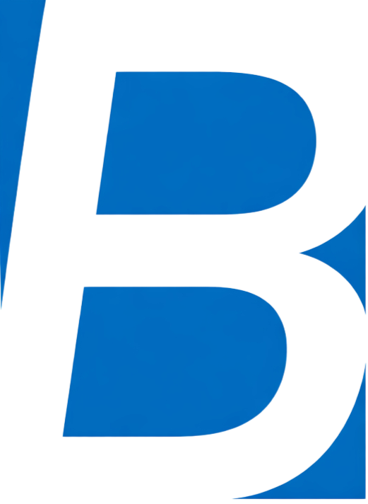 Bright India Systems