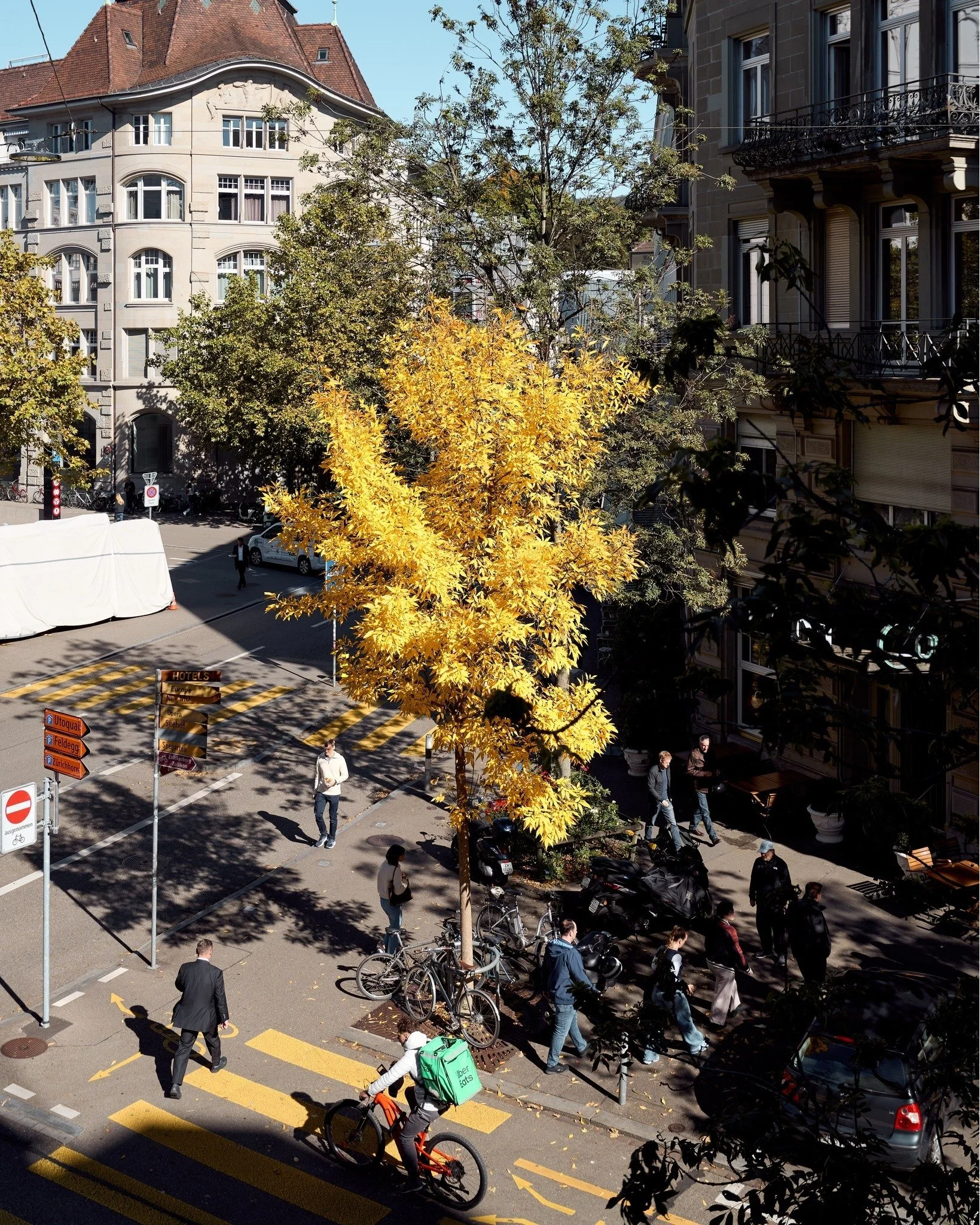 Fall in love with Zurich all over again this season. 🍁

#HotelAmbassadorZurich #AmbassadorZurich #ZurichHotel #ZurichGetaway #ZurichStay #ZurichCity #AutumnInZurich #FallInZurich #ZurichMoments #ZurichVibes #VisitZurich #DiscoverZurich #SwissGetaway