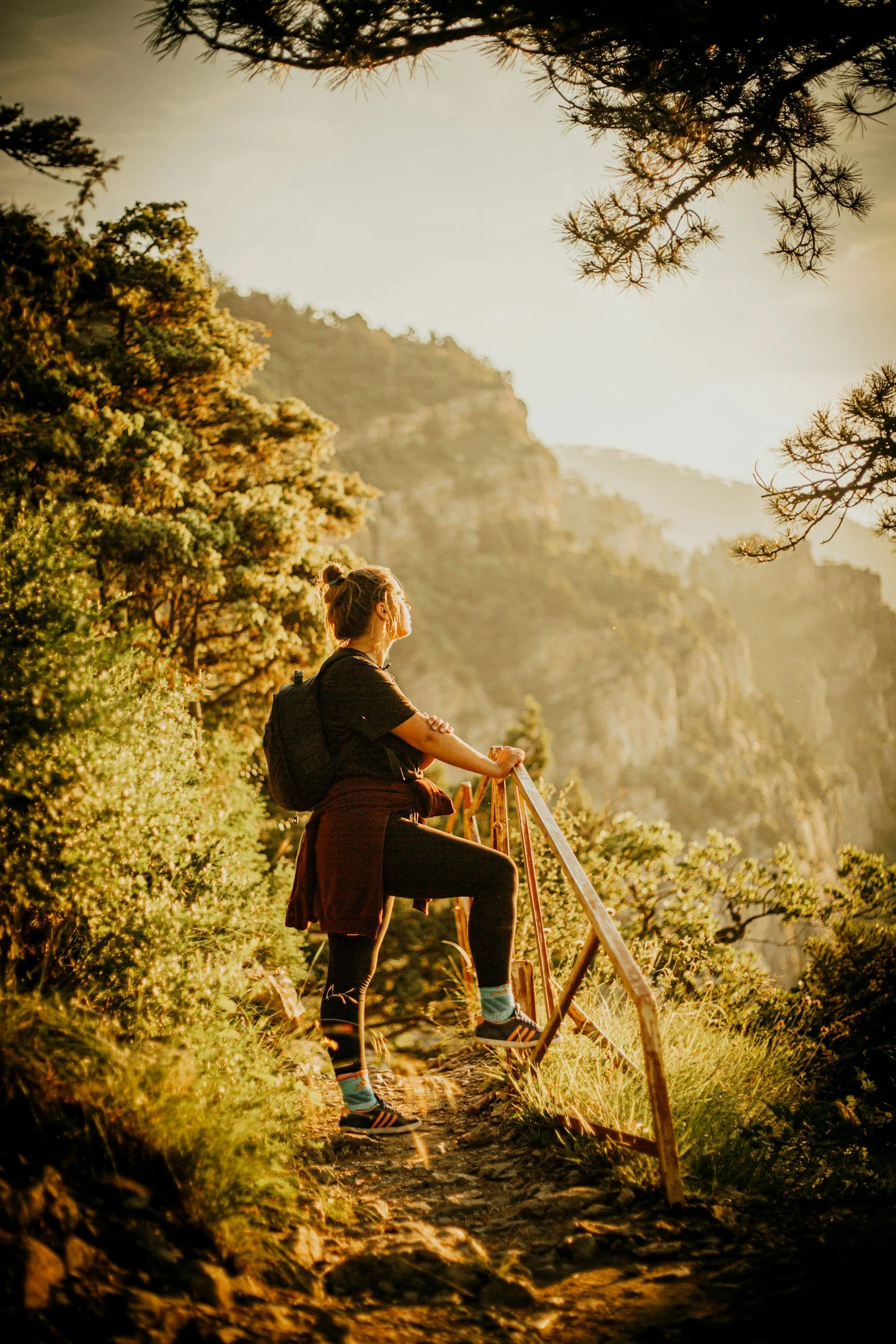 Mind-Body Healing for Chronic Stress and Burnout
