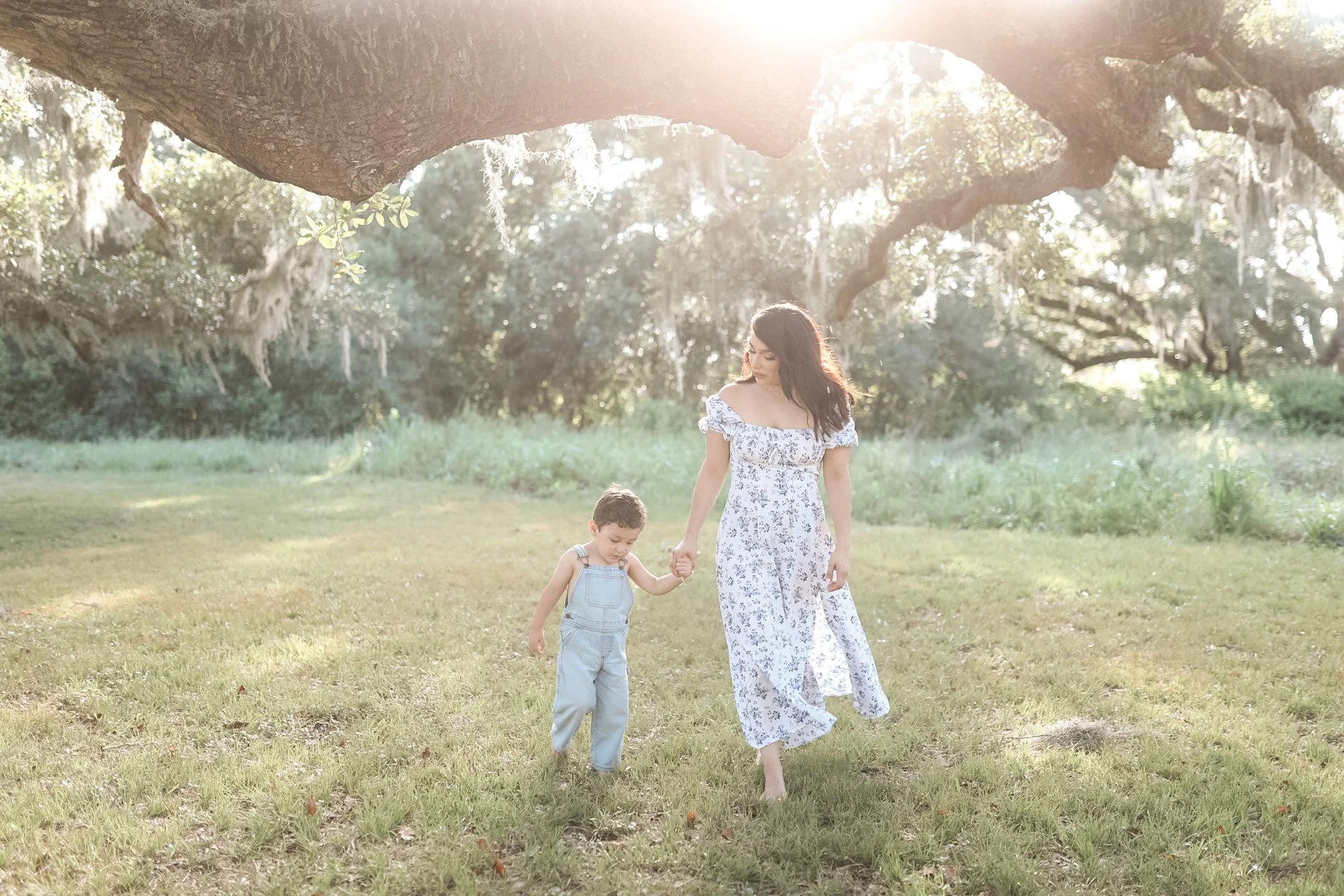 Family Portraits Starting at $350