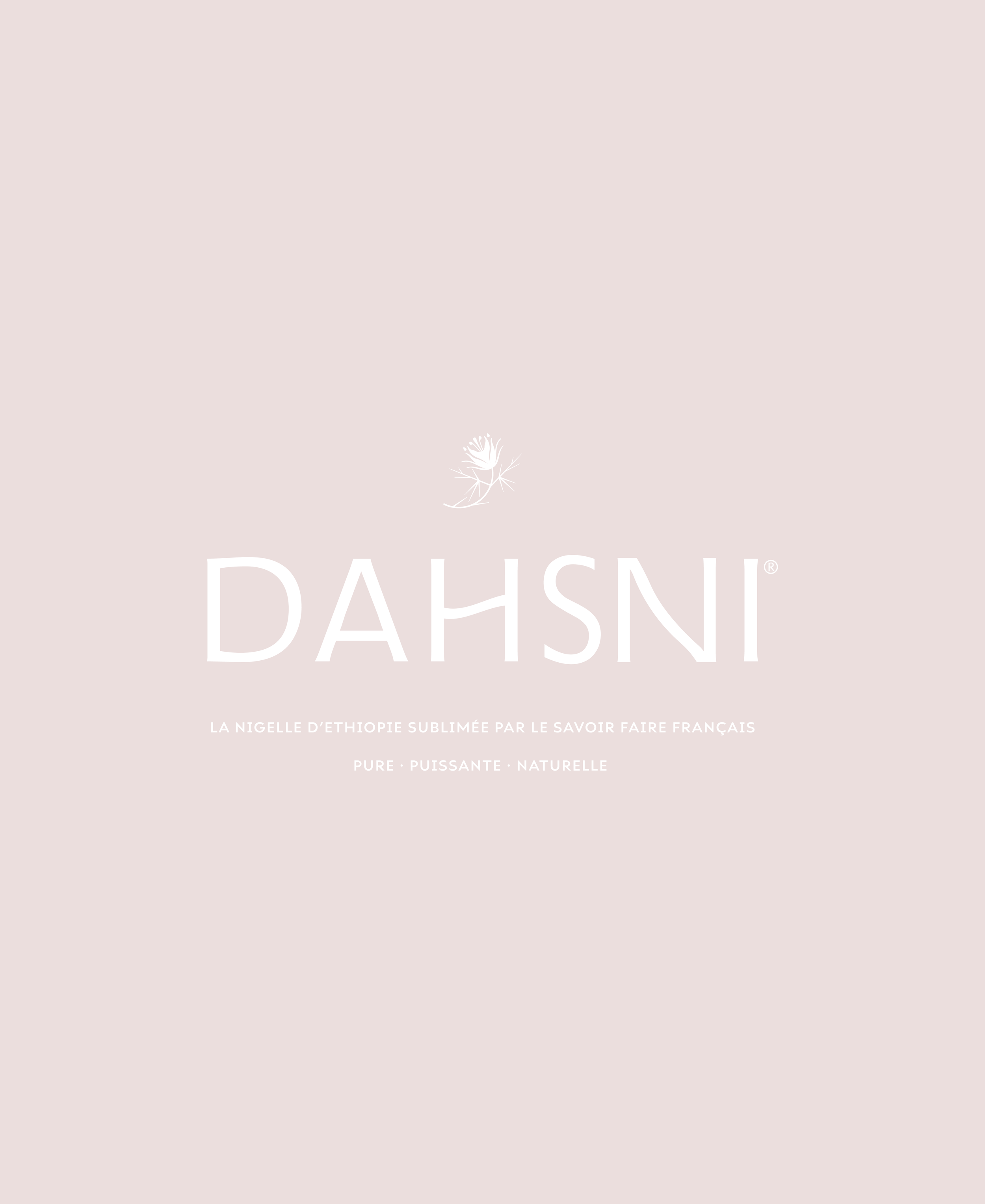 dahsni-08.png