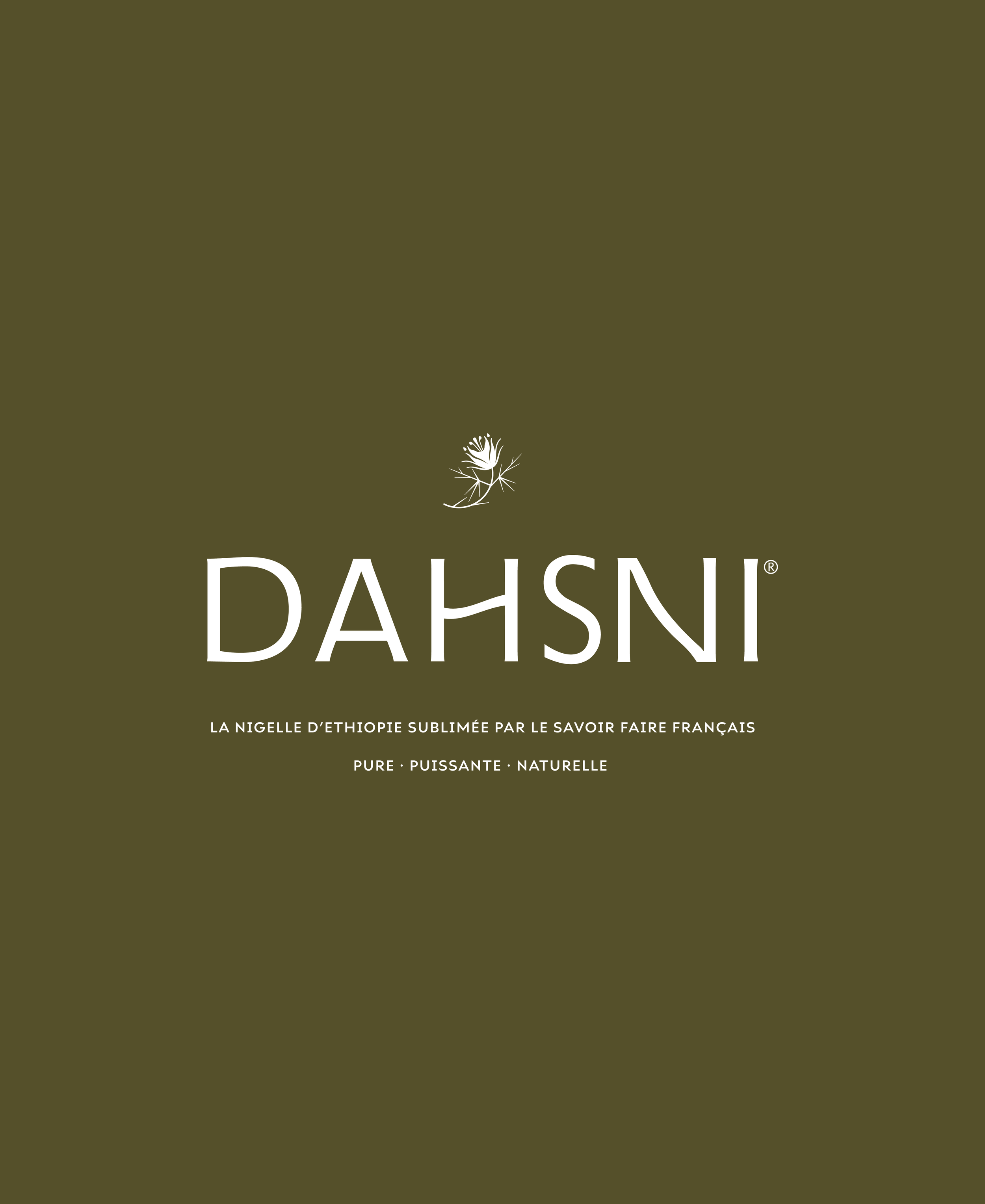 dahsni-06.png