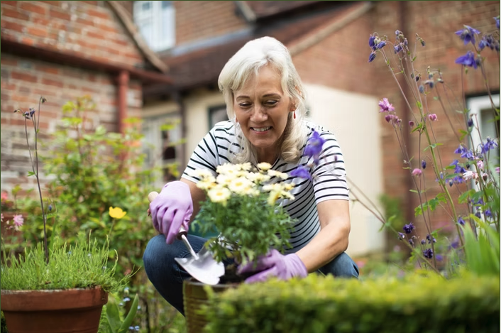 Gardening for Health: How Tending to Your Garden Can Boost Your Well-Being: 
