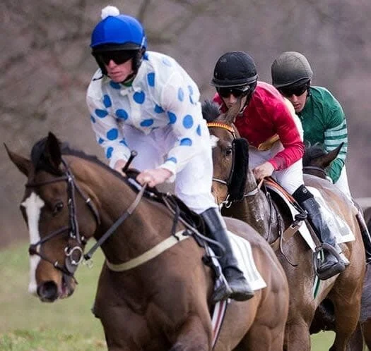 Brandywine Hills Point to Point: