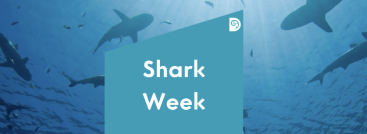 Shark Week: