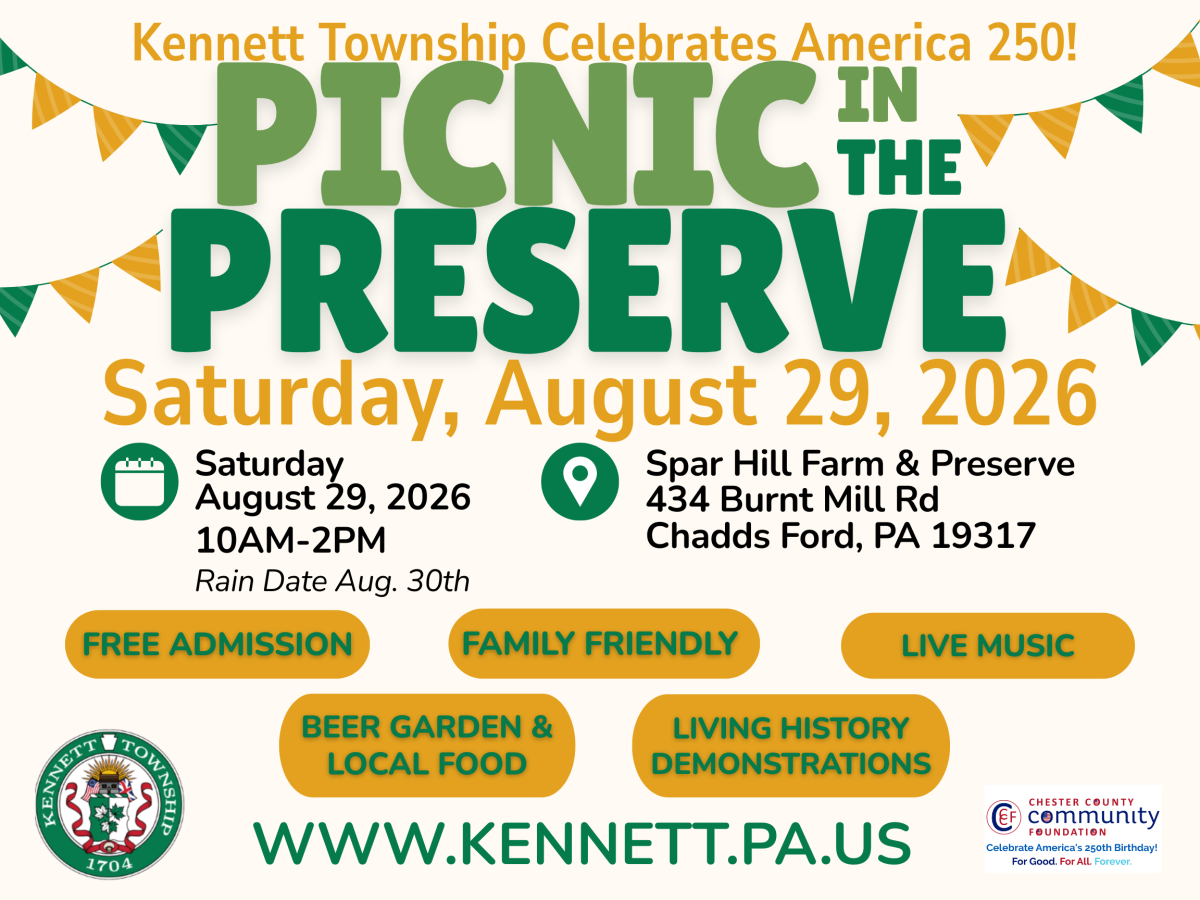 Picnic in the Preserve:
