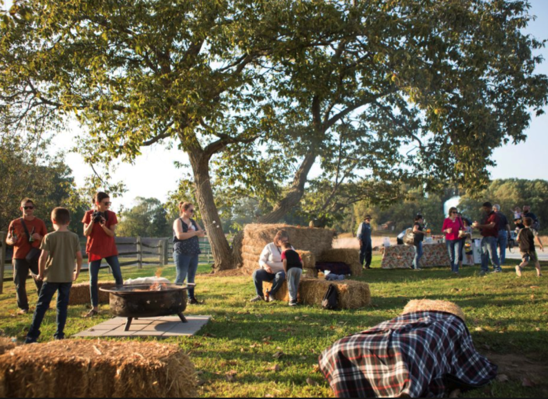 Fall Fun by the Fire: