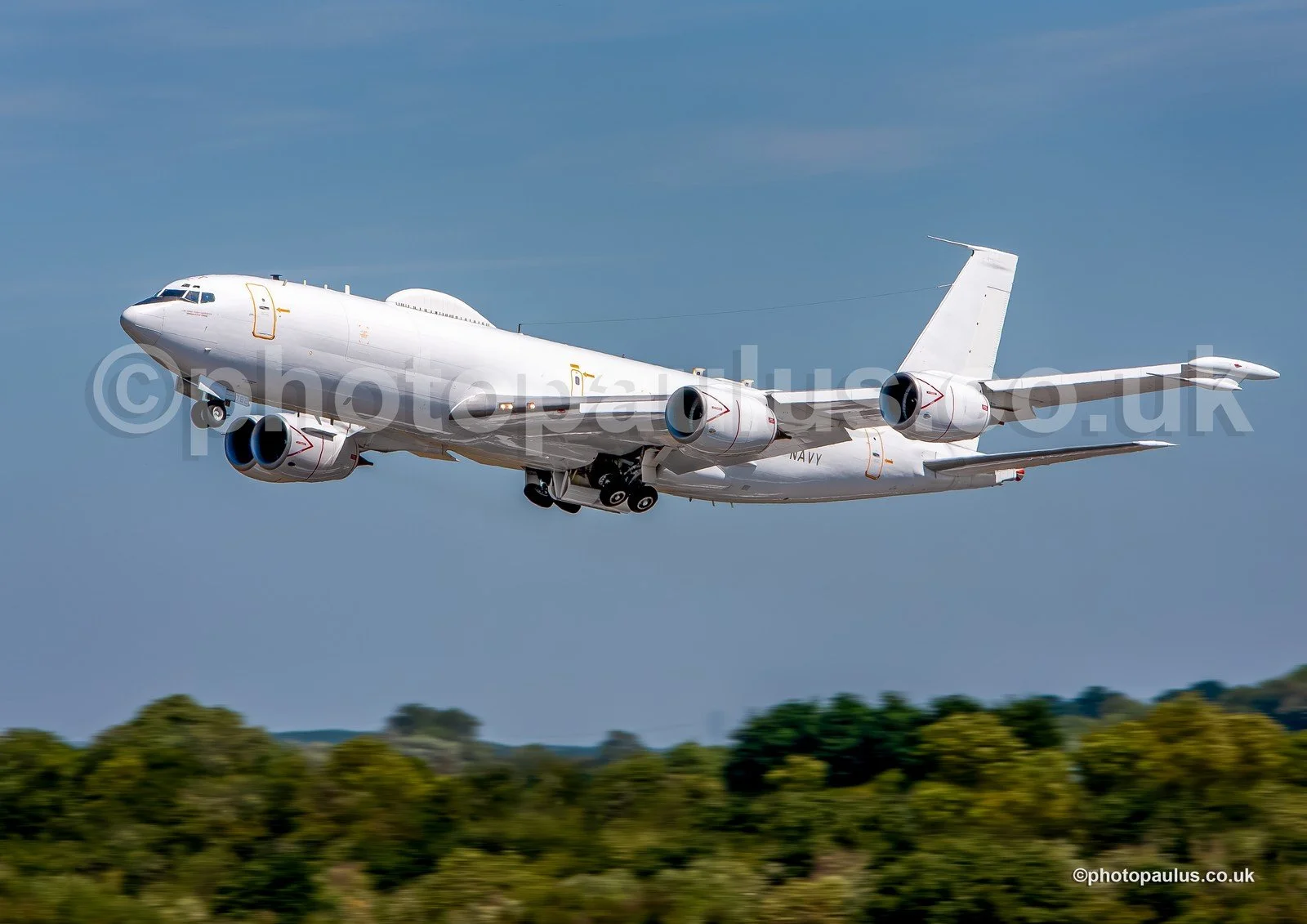 ©Paul Morris E6 7284.jpg