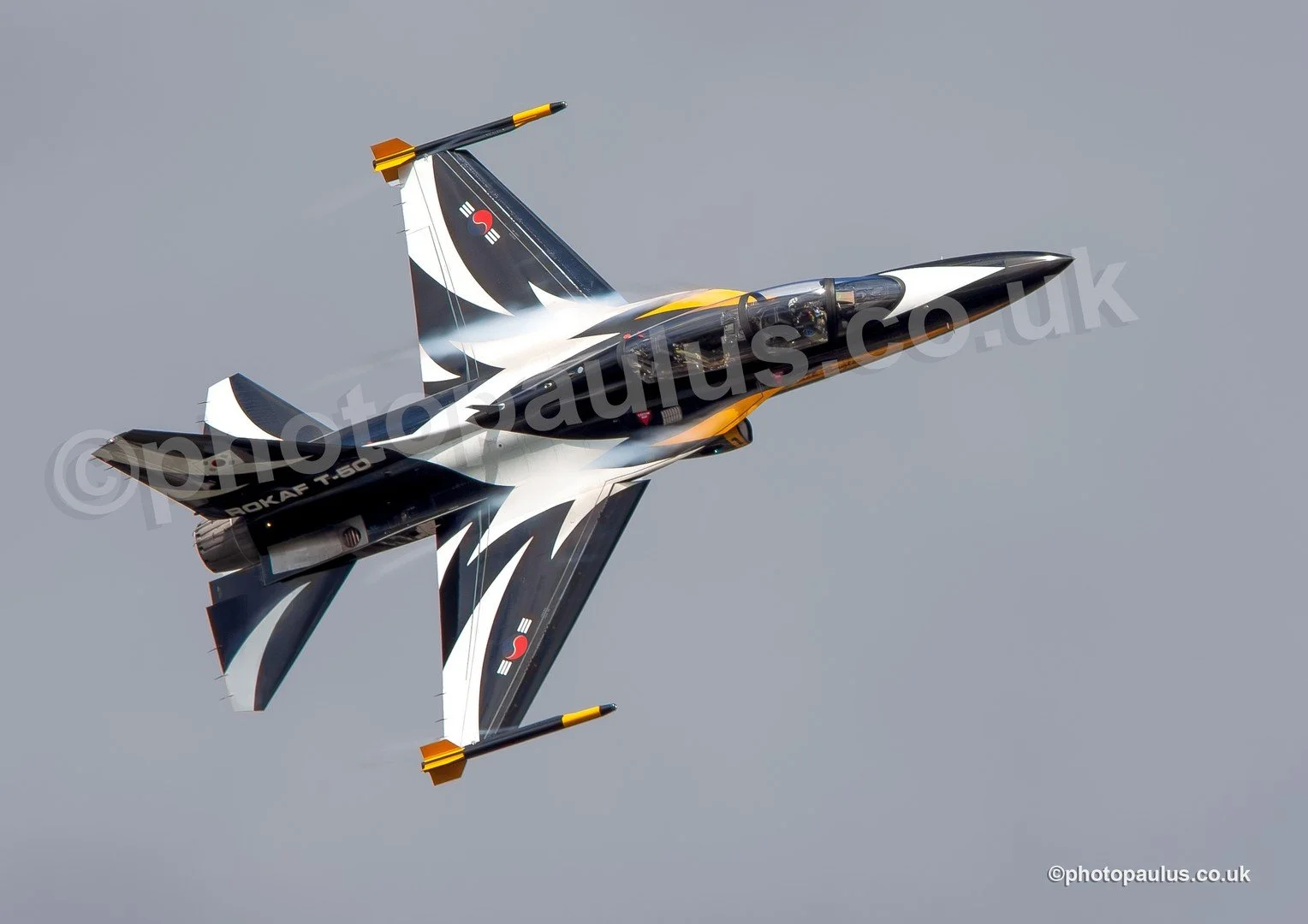 ©Paul Morris F50 8389.jpg