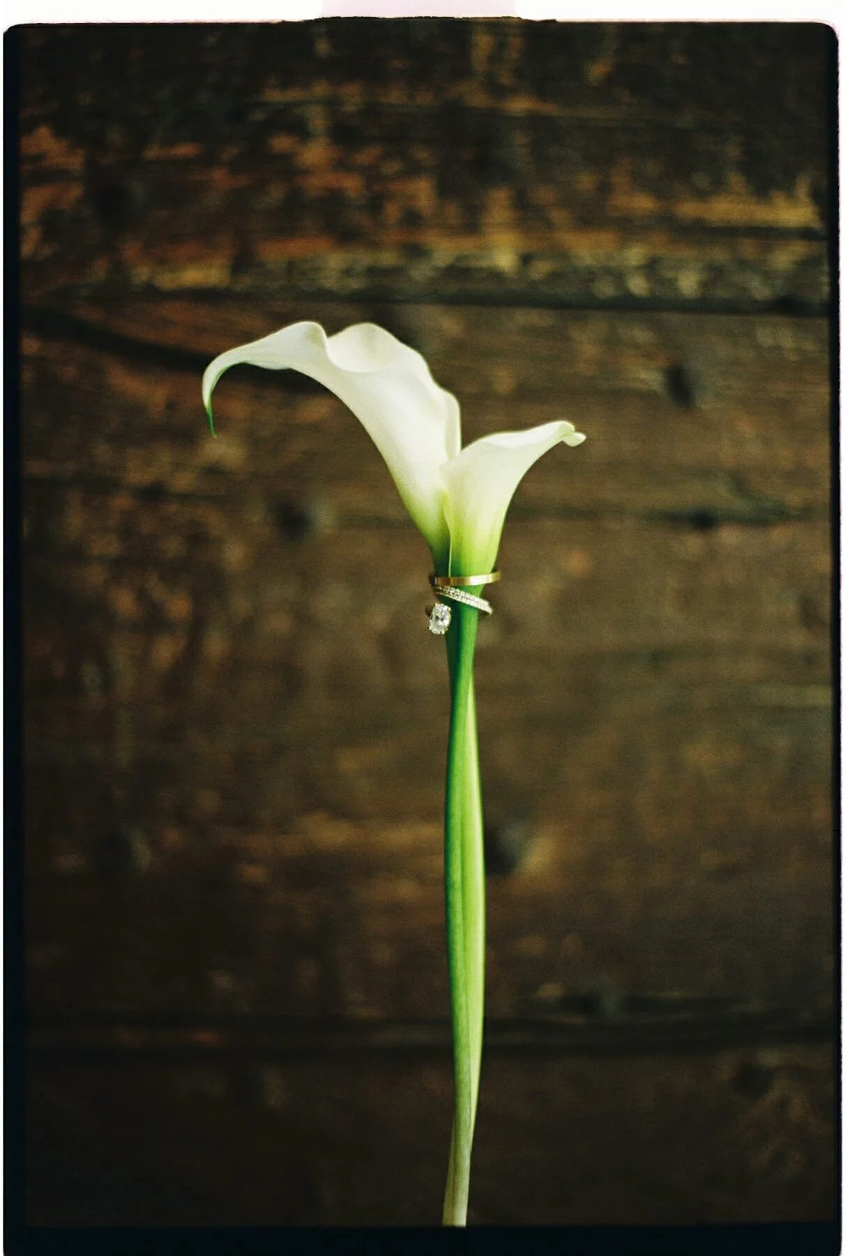 by Audrey Naessens - Jolien & Maxime-1925.jpg