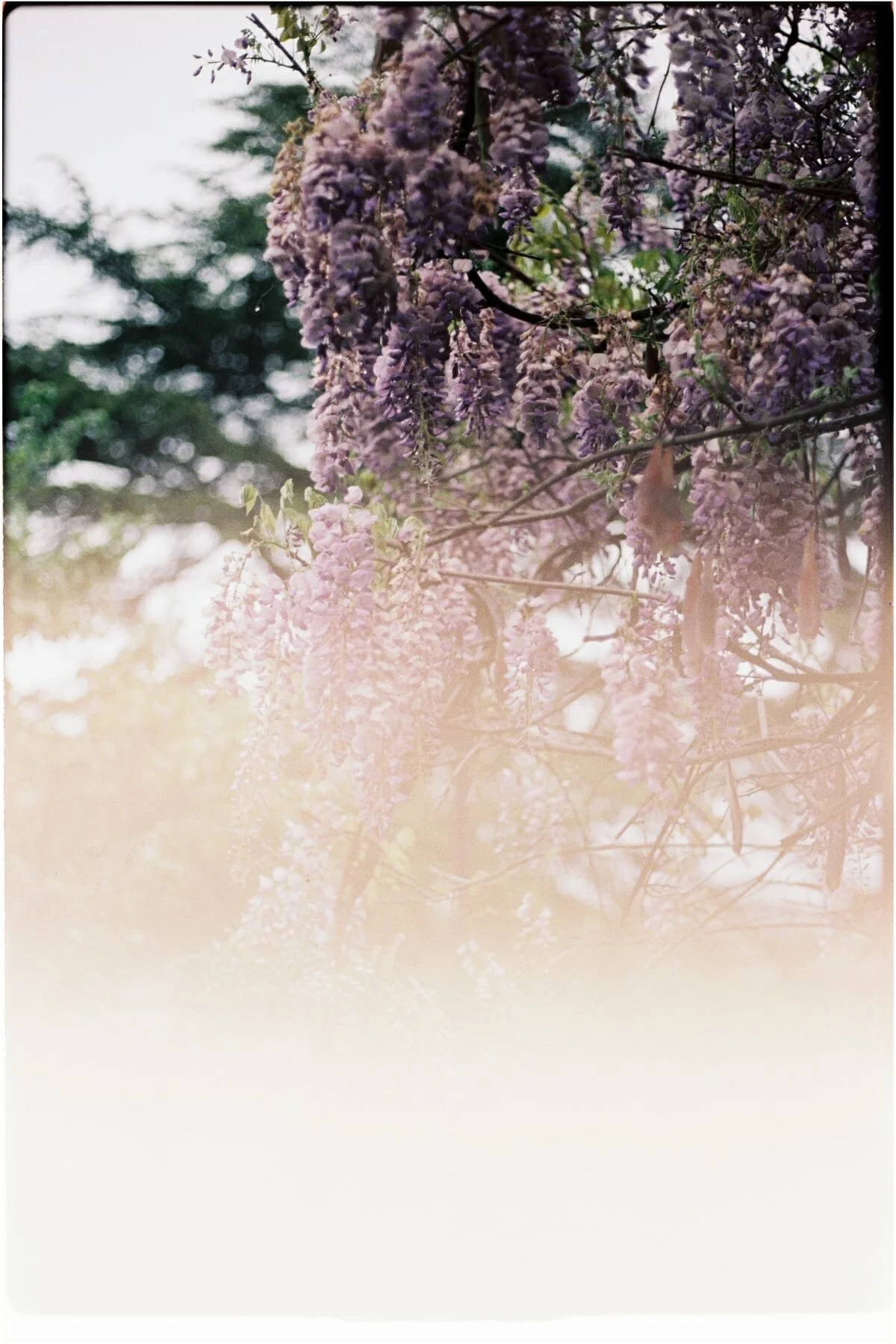 CAE1 - Ultramax -35.jpg