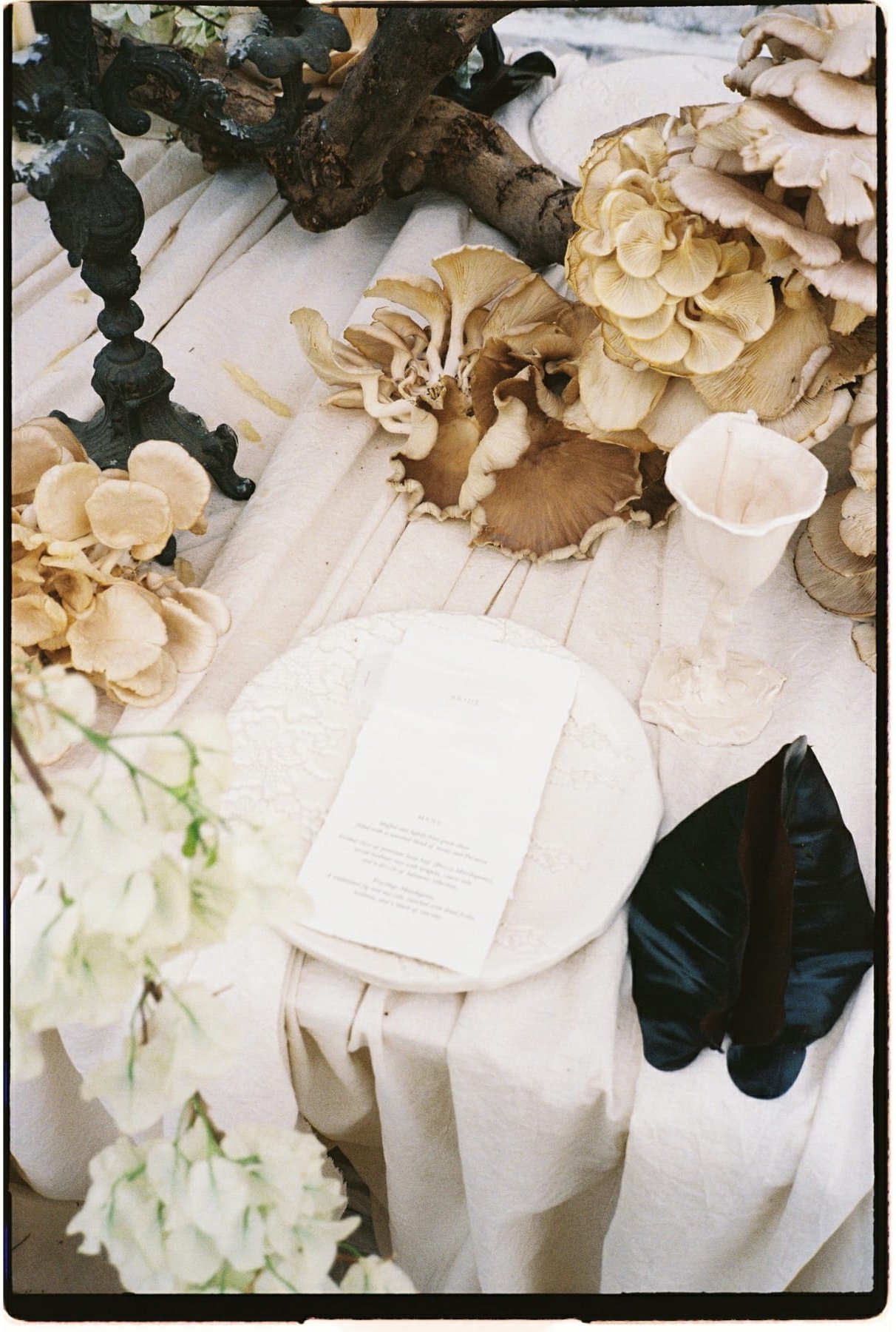 Olympus - Ultramax -12.JPG