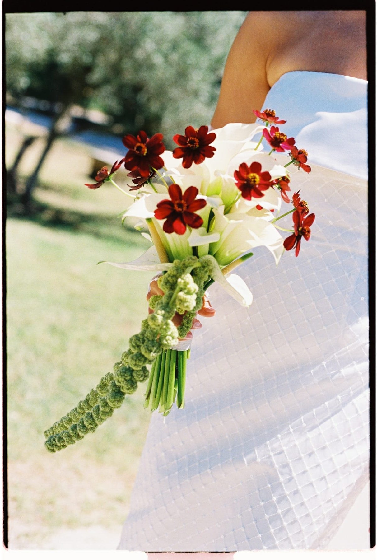 CAE1 - Ultramax - 4.JPG