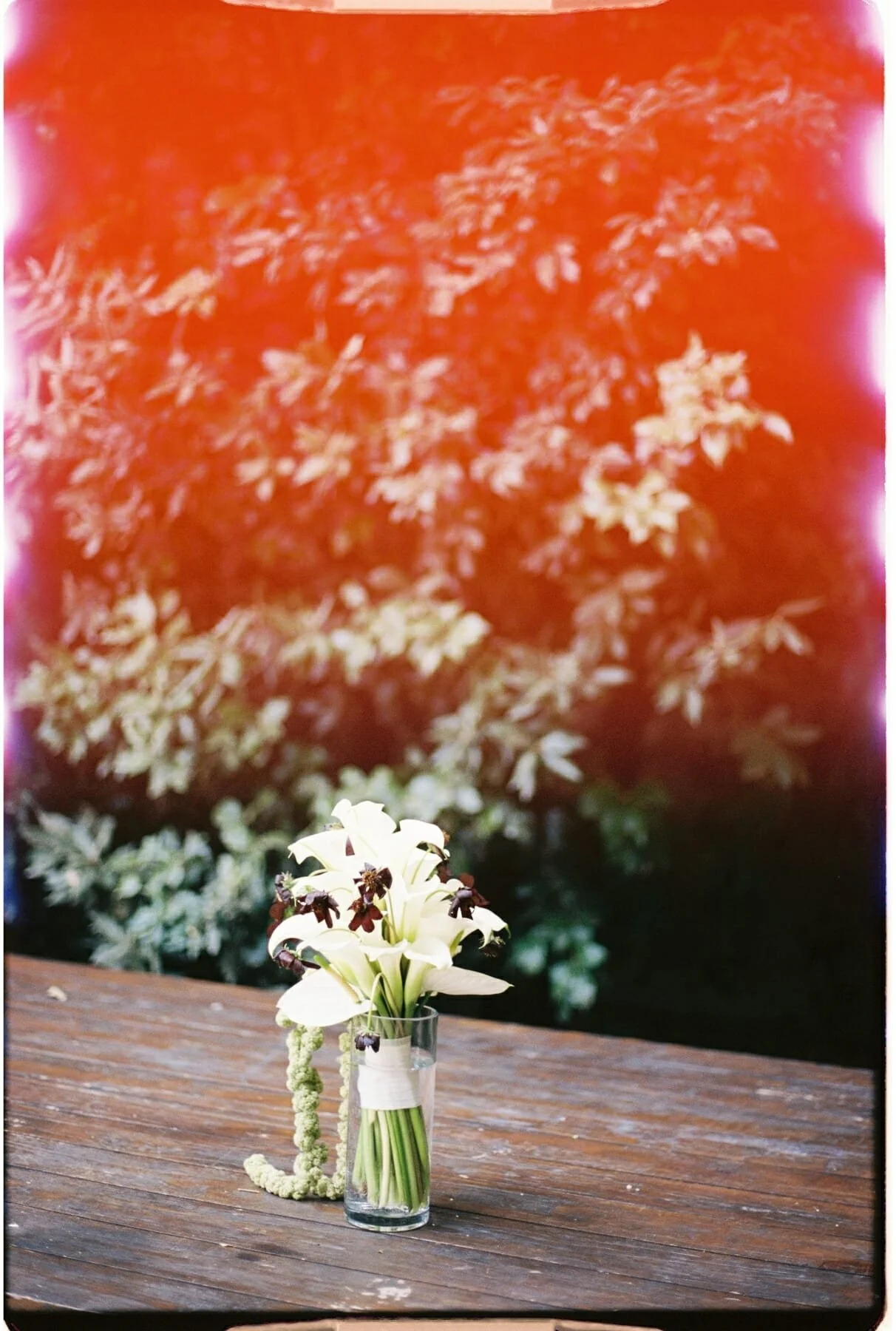 CAE1 - Portra 400 - 7.jpg